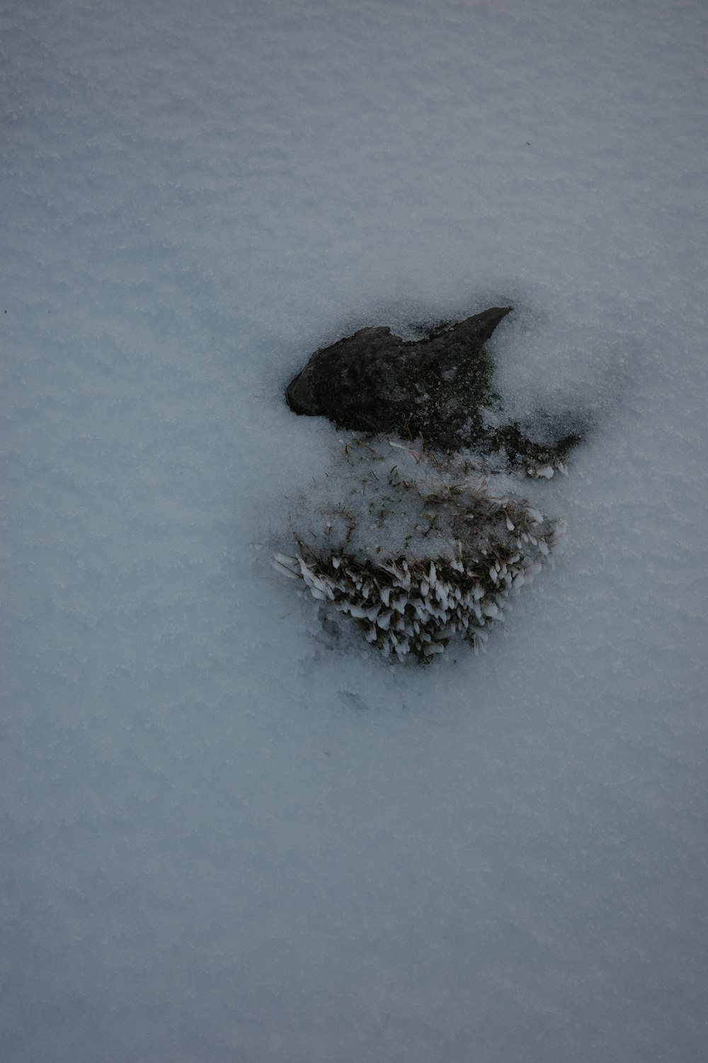 a snow covered ground with a rock sticking out of it