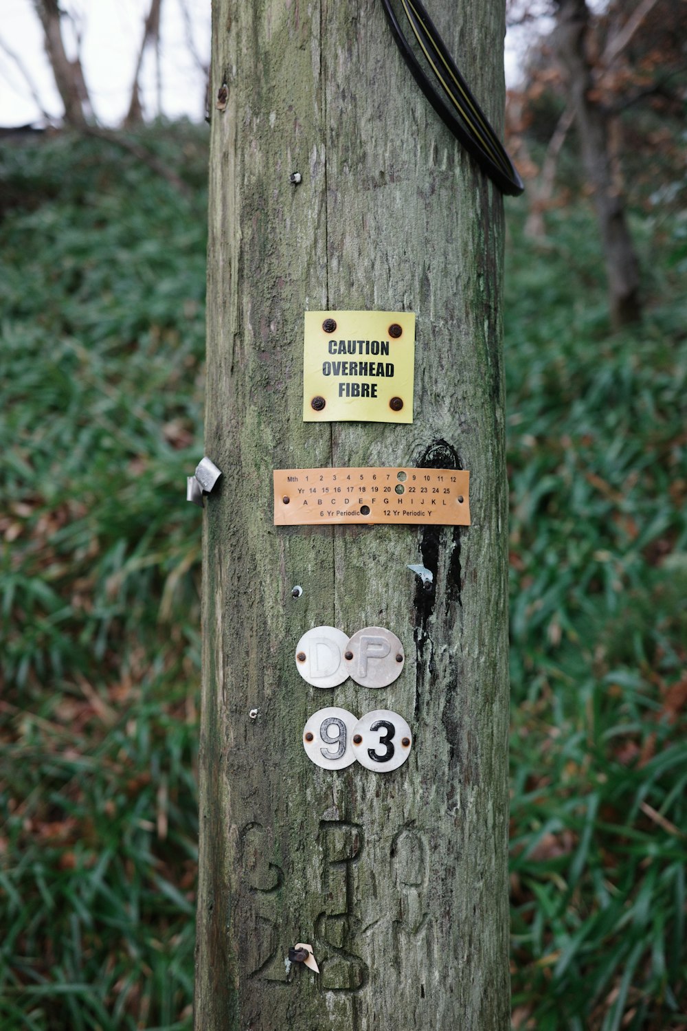 uma árvore com um monte de números sobre ela