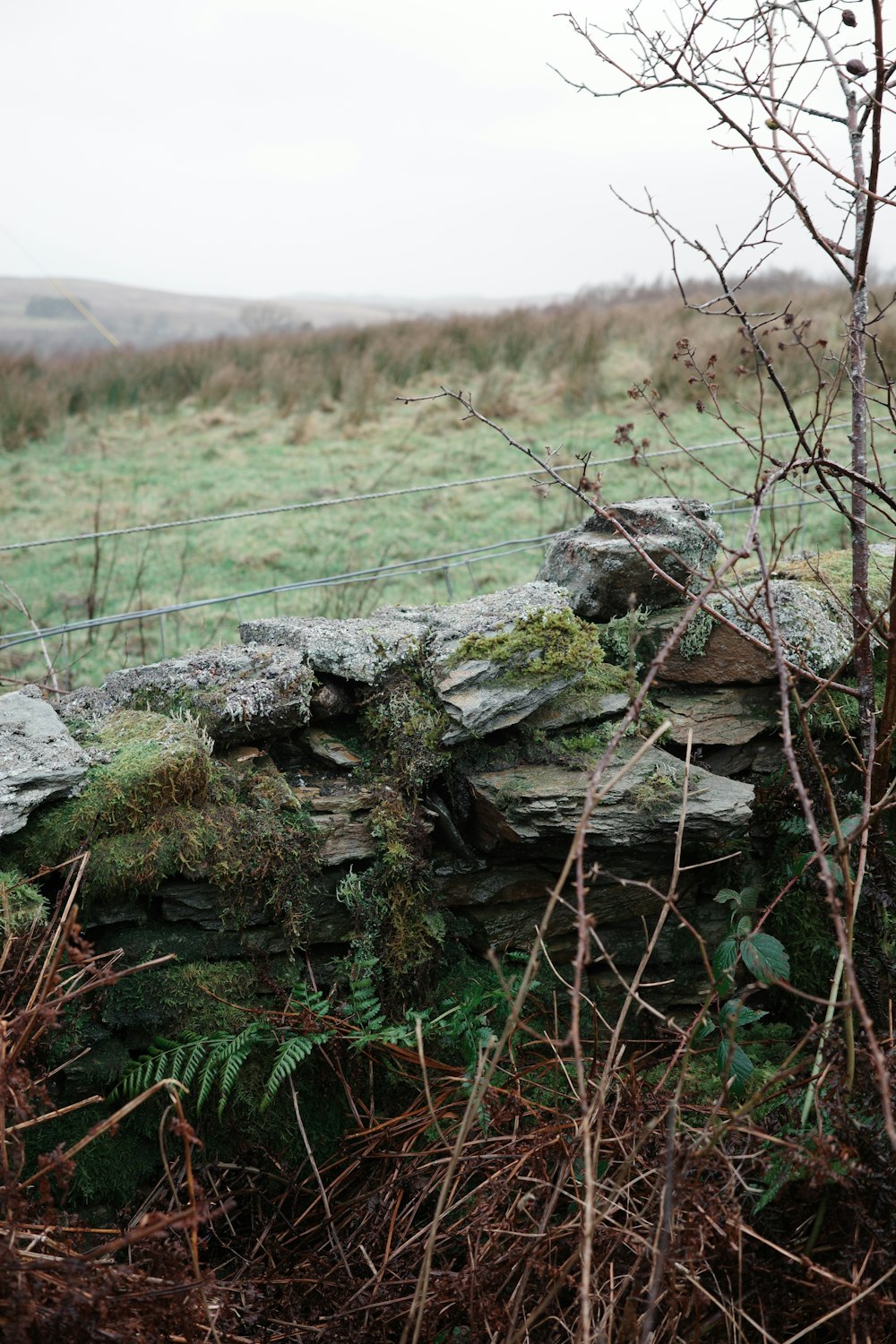 a stone wall with moss growing on it