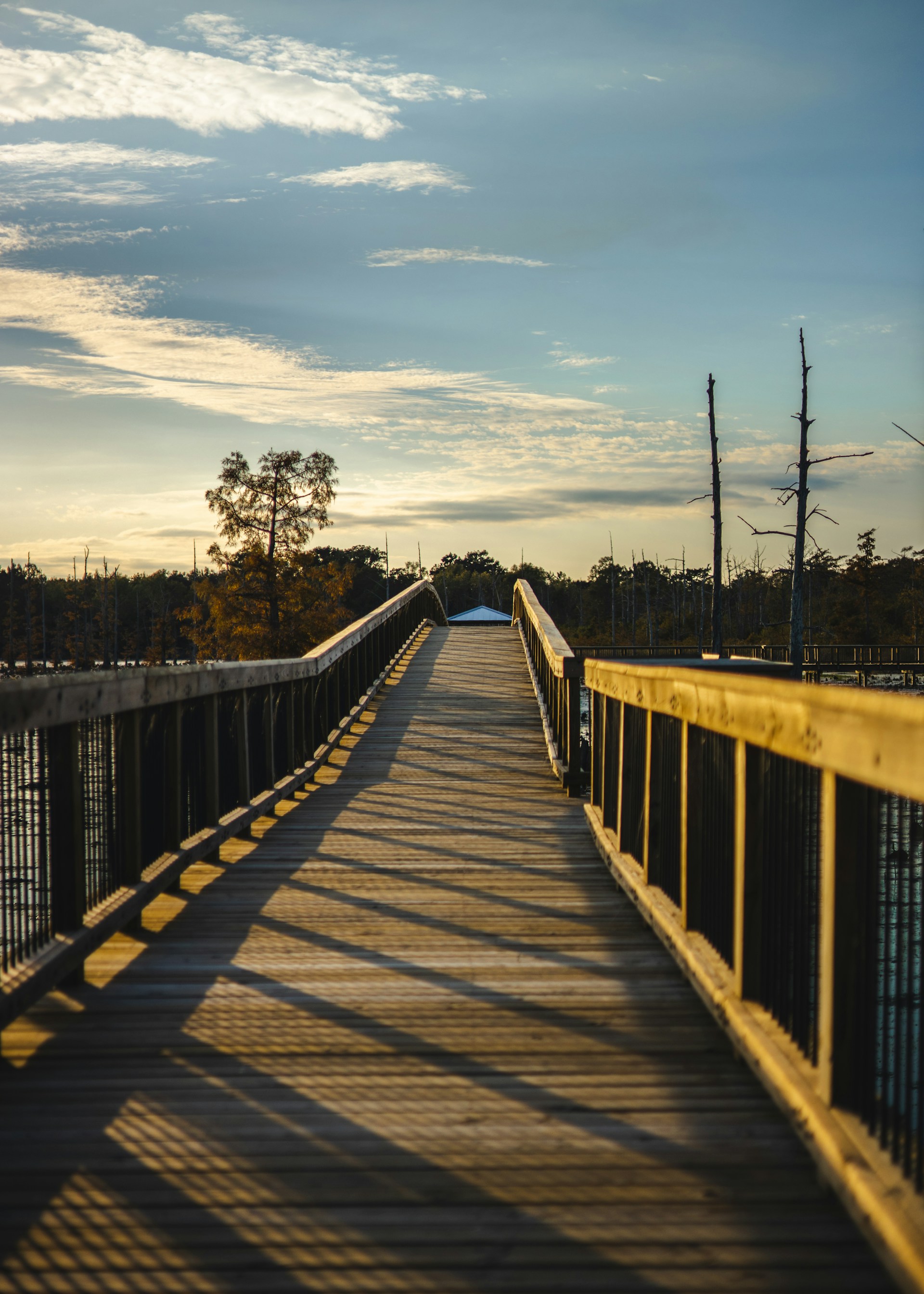 a long wooden bridge over a body of water