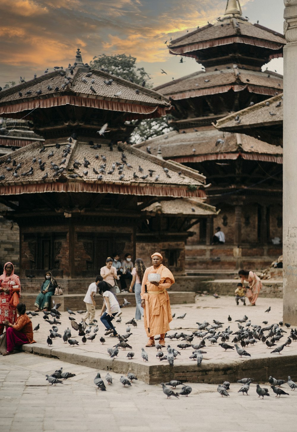 a group of people standing around a bunch of birds