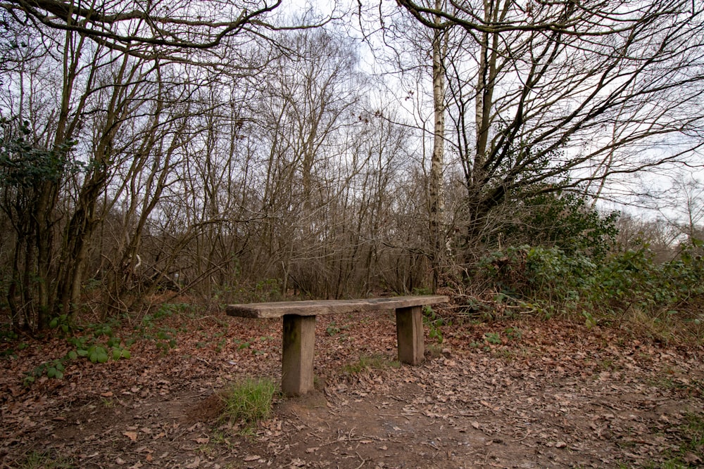 a wooden bench sitting in the middle of a forest