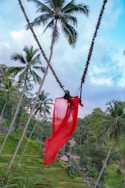a red scarf hanging from a palm tree