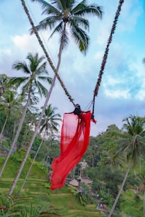 a red scarf hanging from a palm tree