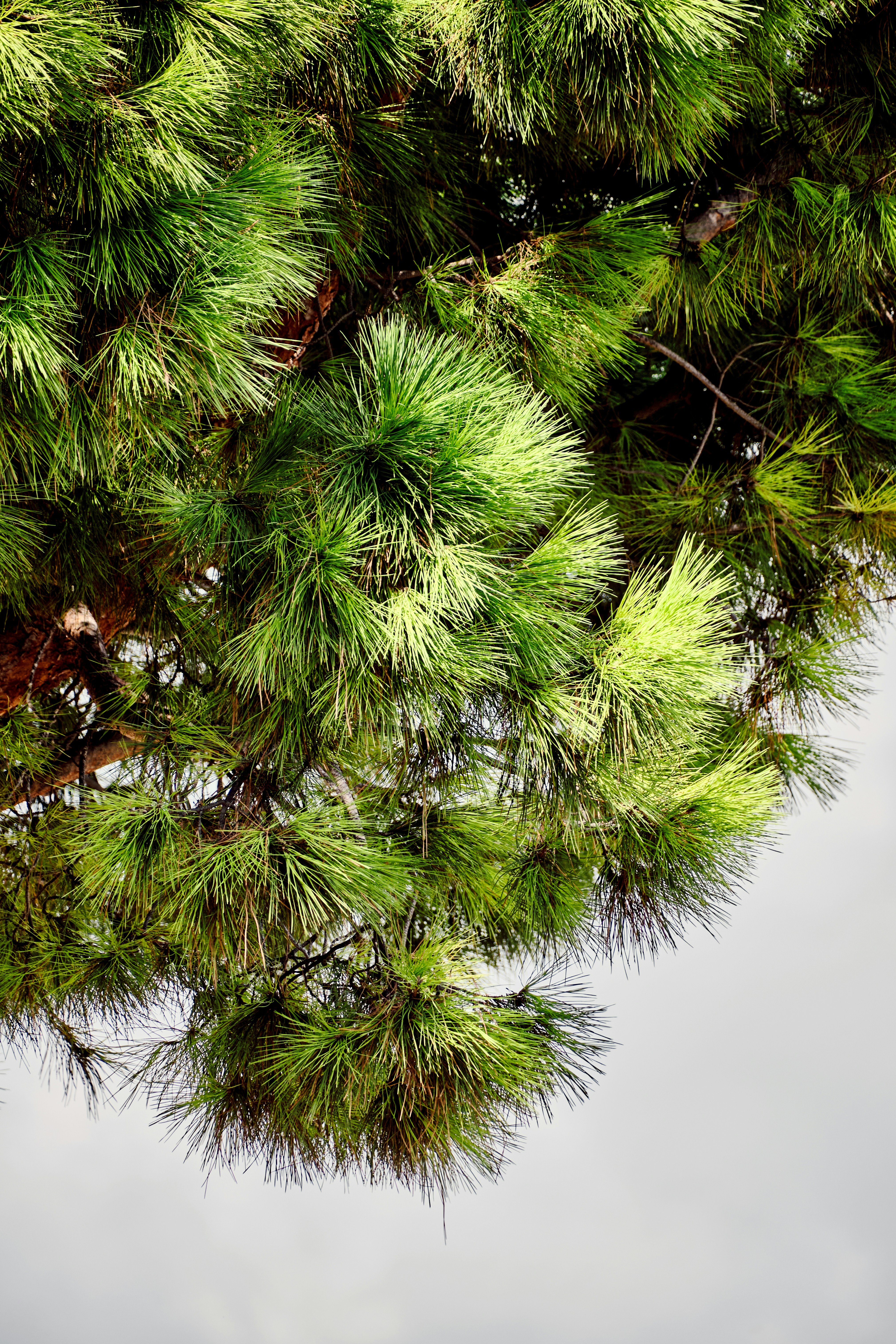 Photo by marcus_ganahl