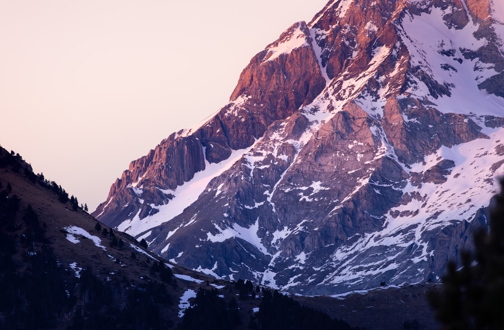 a snow covered mountain with trees in the foreground