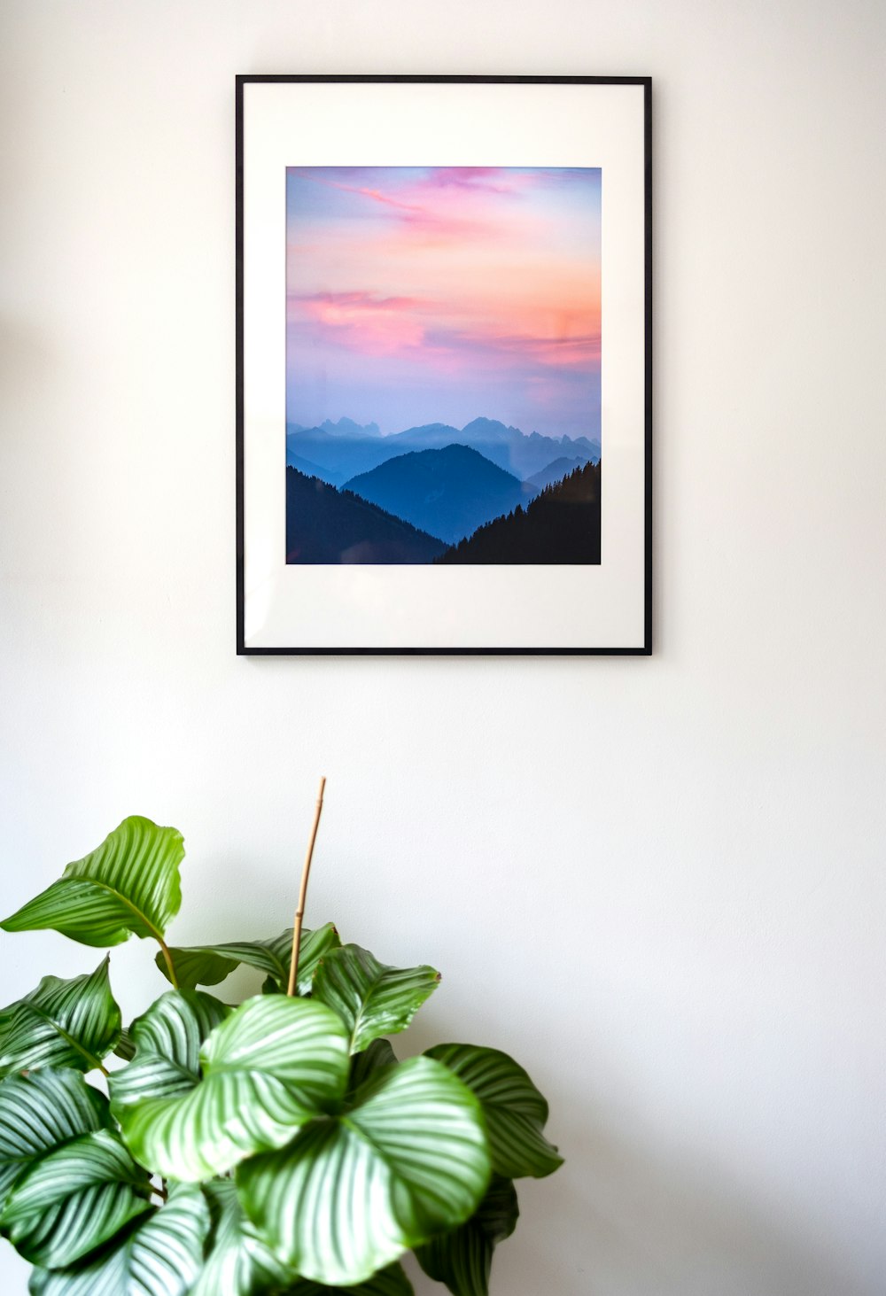 a picture hanging on a wall above a potted plant