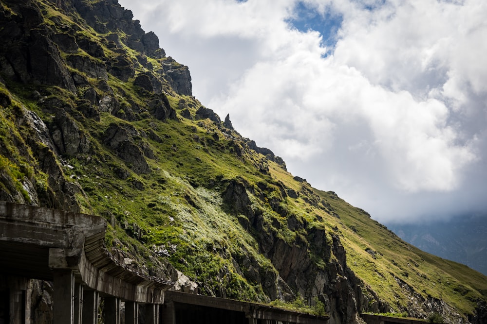 a mountain side with grass growing on the side of it