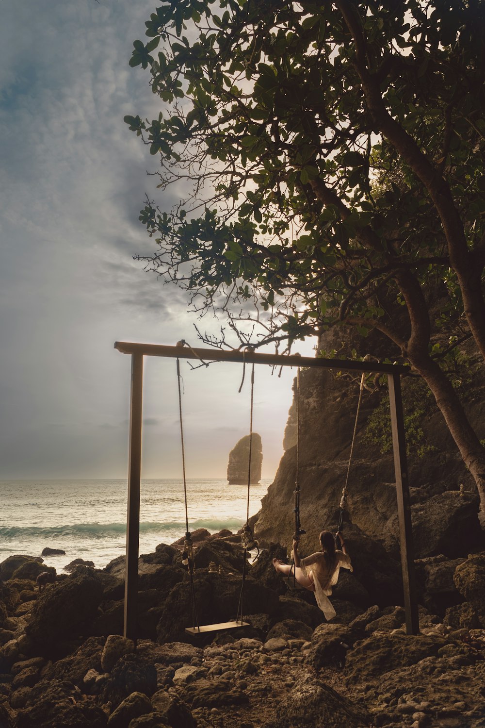 a dog sitting on a swing near the ocean