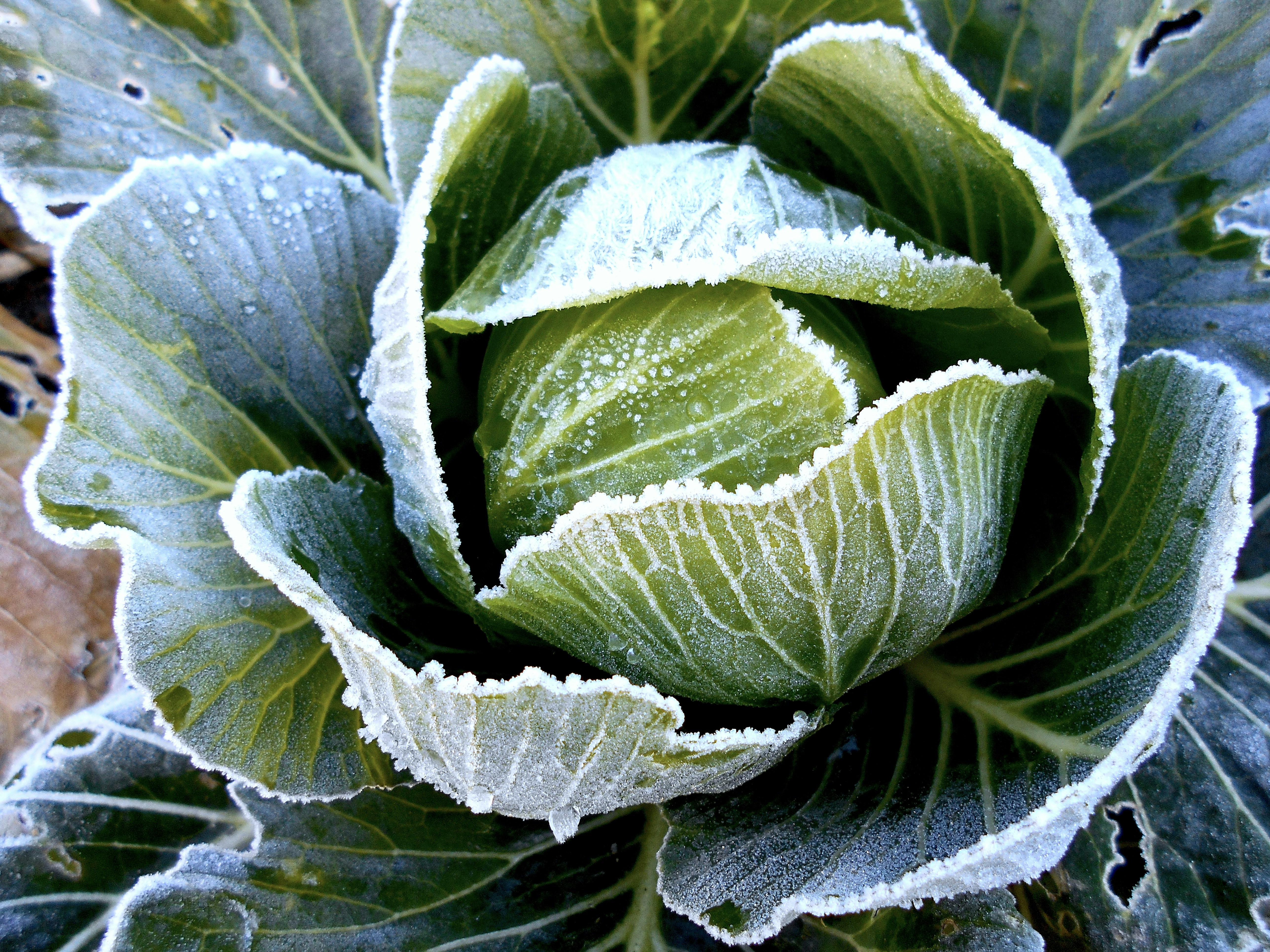 포기란 배추 셀 때나 쓰는 말, 당신 안의 숨겨진 ‘오뚝이’ 본능 깨우기!
