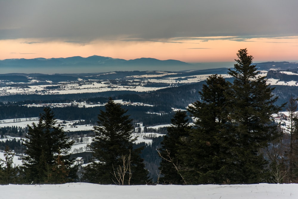 a view of a snowy mountain range with trees in the foreground