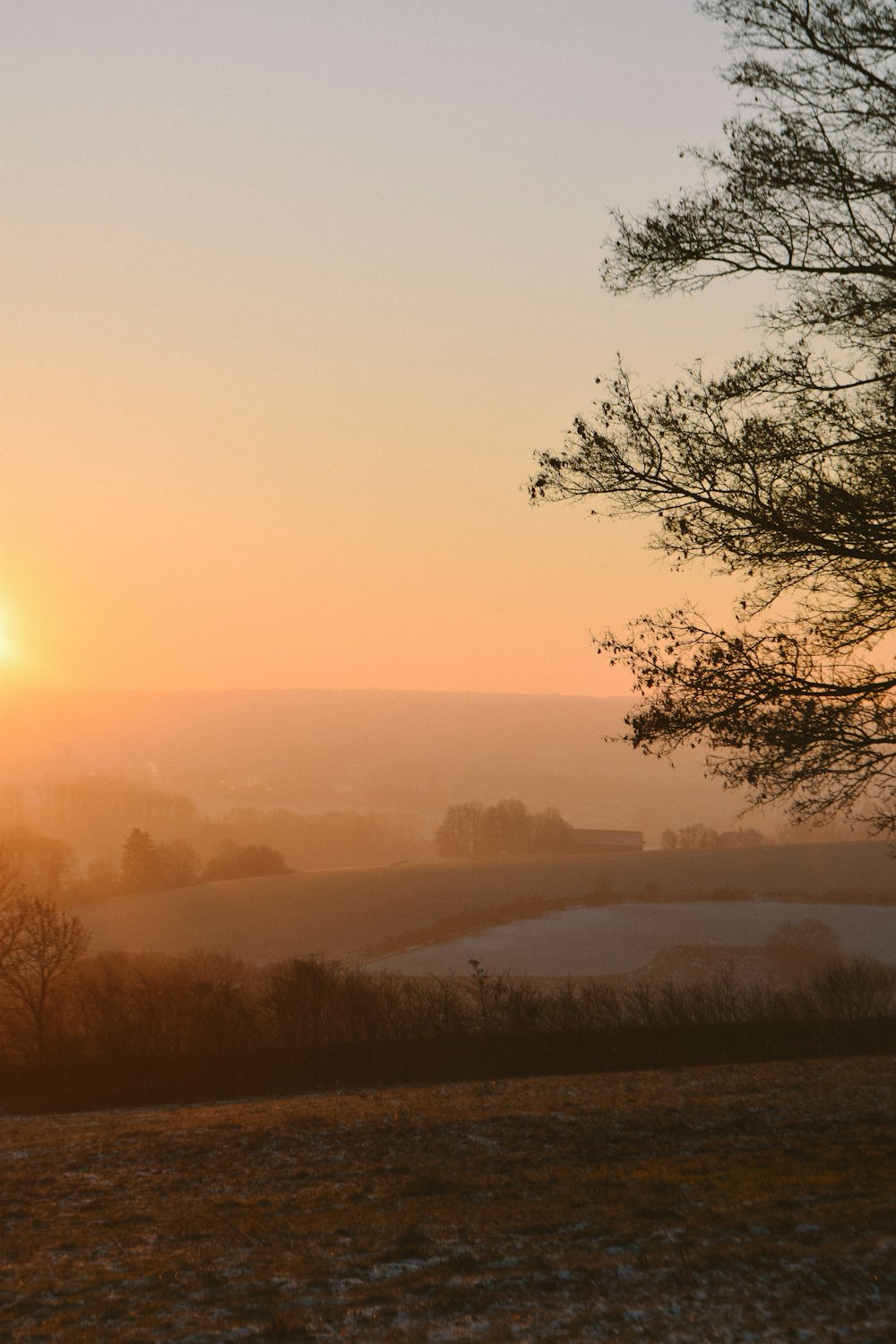 the sun is setting over a field with trees