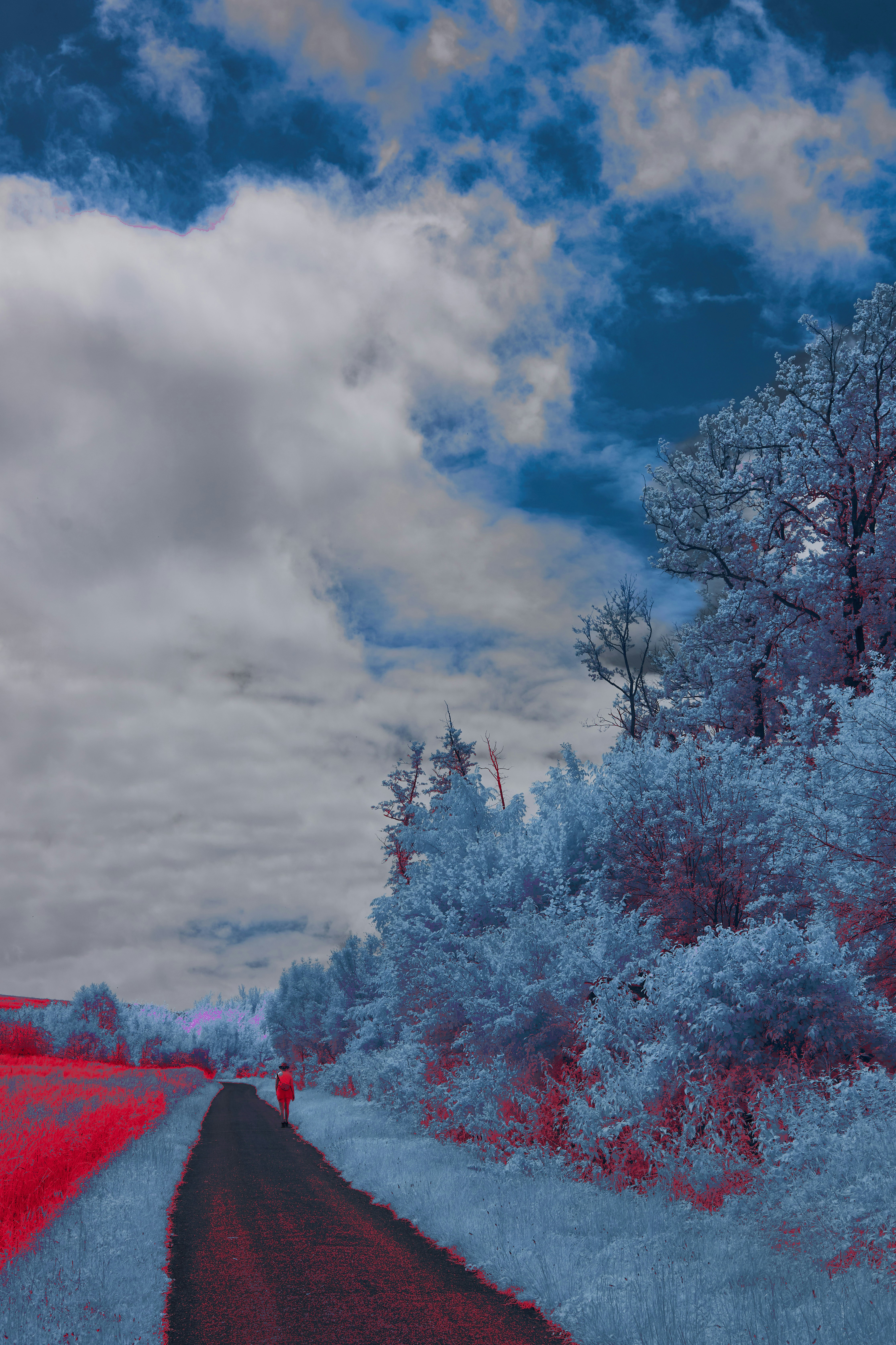 Photo by wolfgang_hasselmann