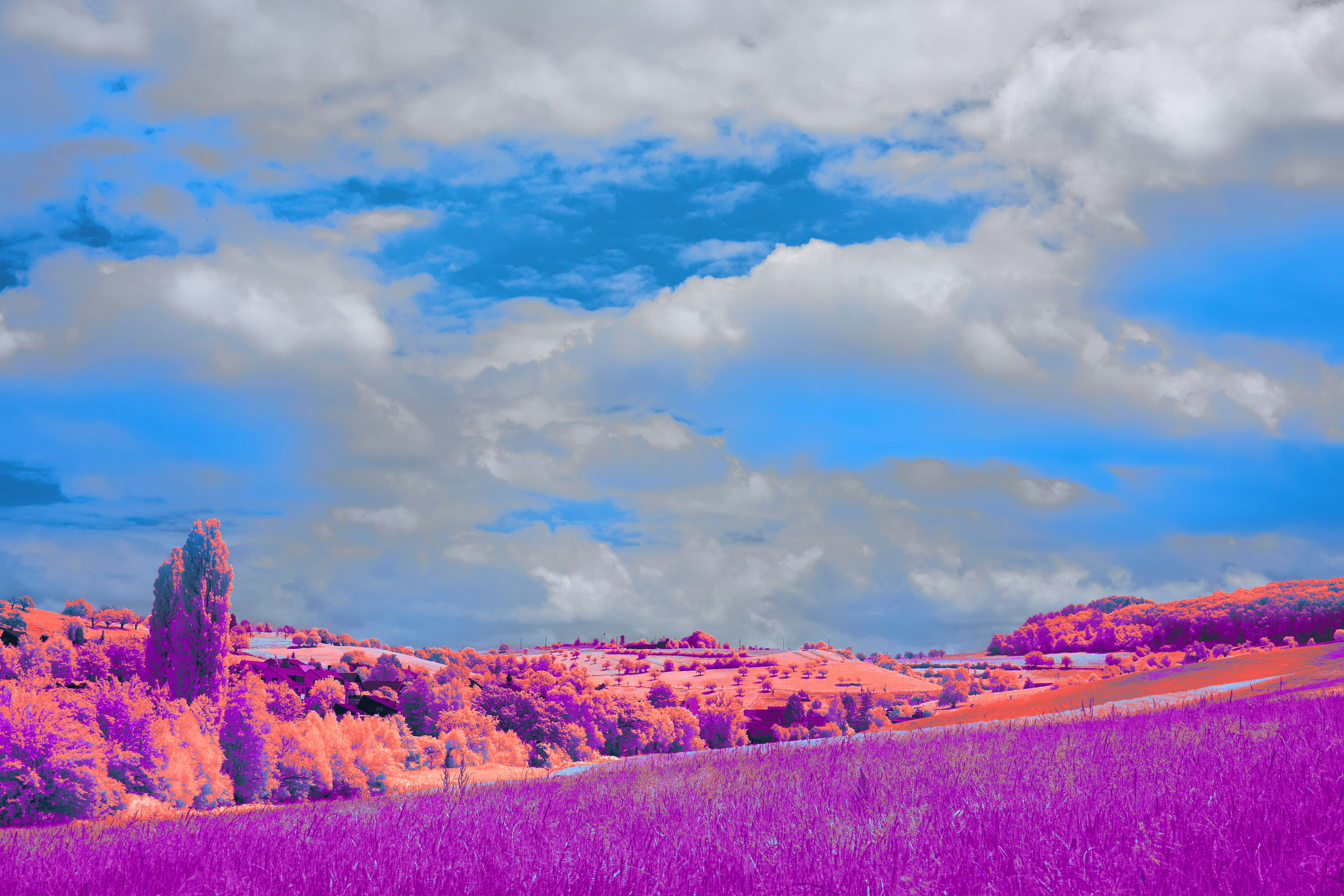 Photo by wolfgang_hasselmann