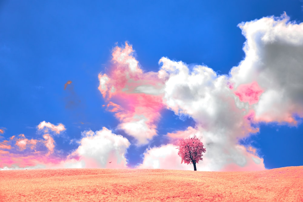 a lone tree in a field under a cloudy sky