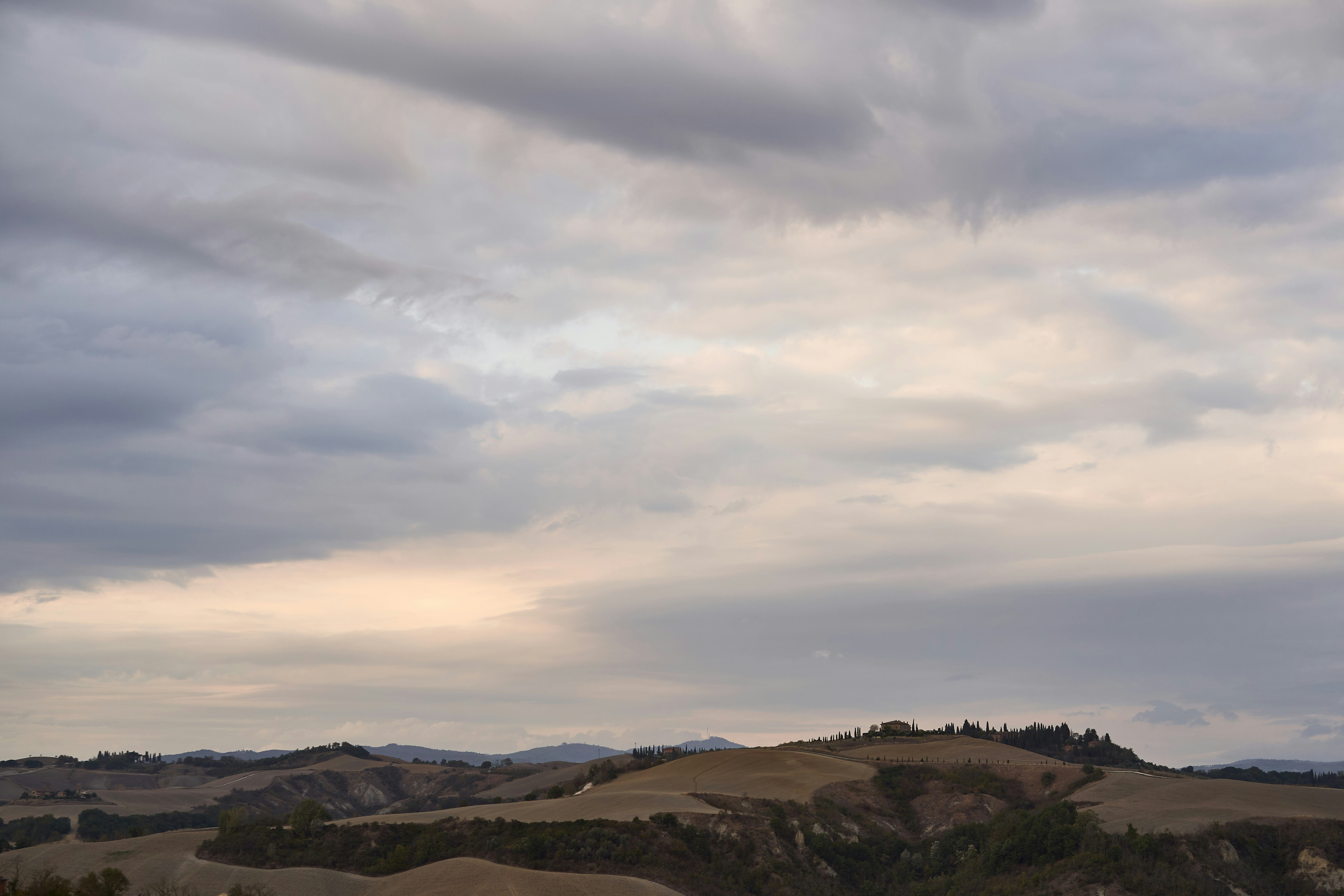 Photo by wolfgang_hasselmann