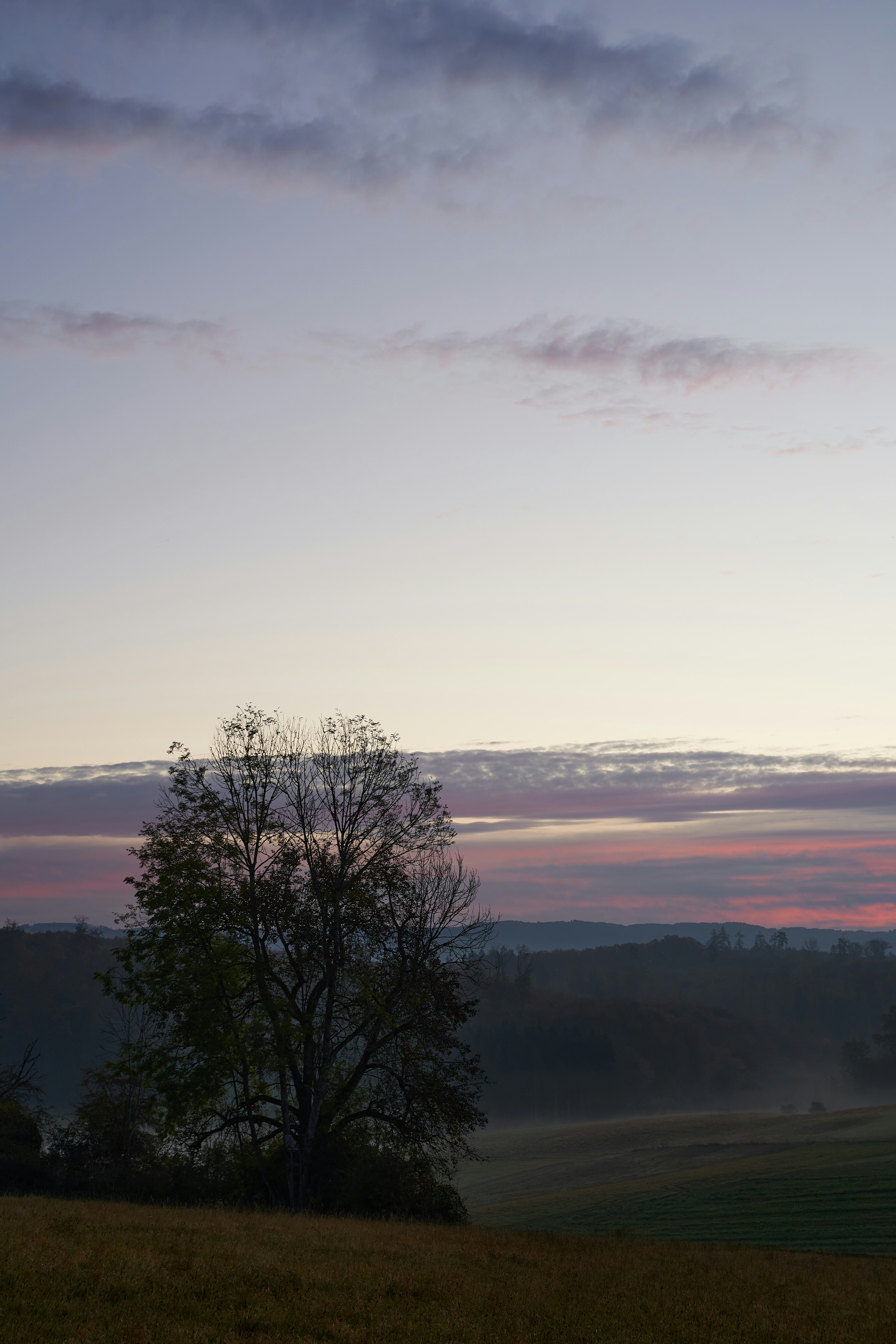 Photo by wolfgang_hasselmann