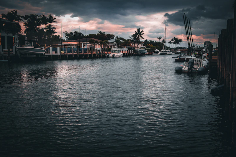 Marina with boats and palm trees in Fort Lauderdale