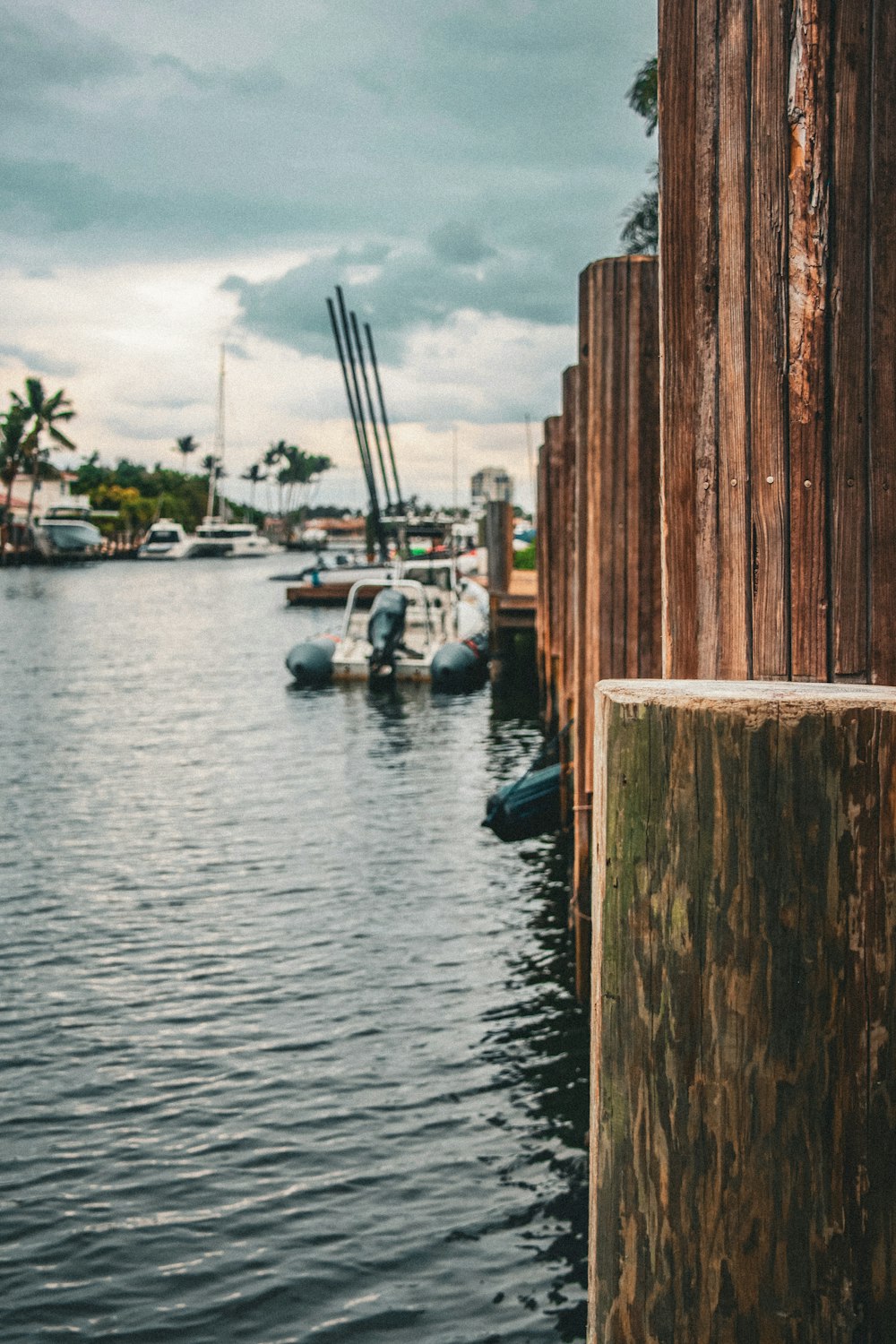 a body of water with a bunch of boats in it