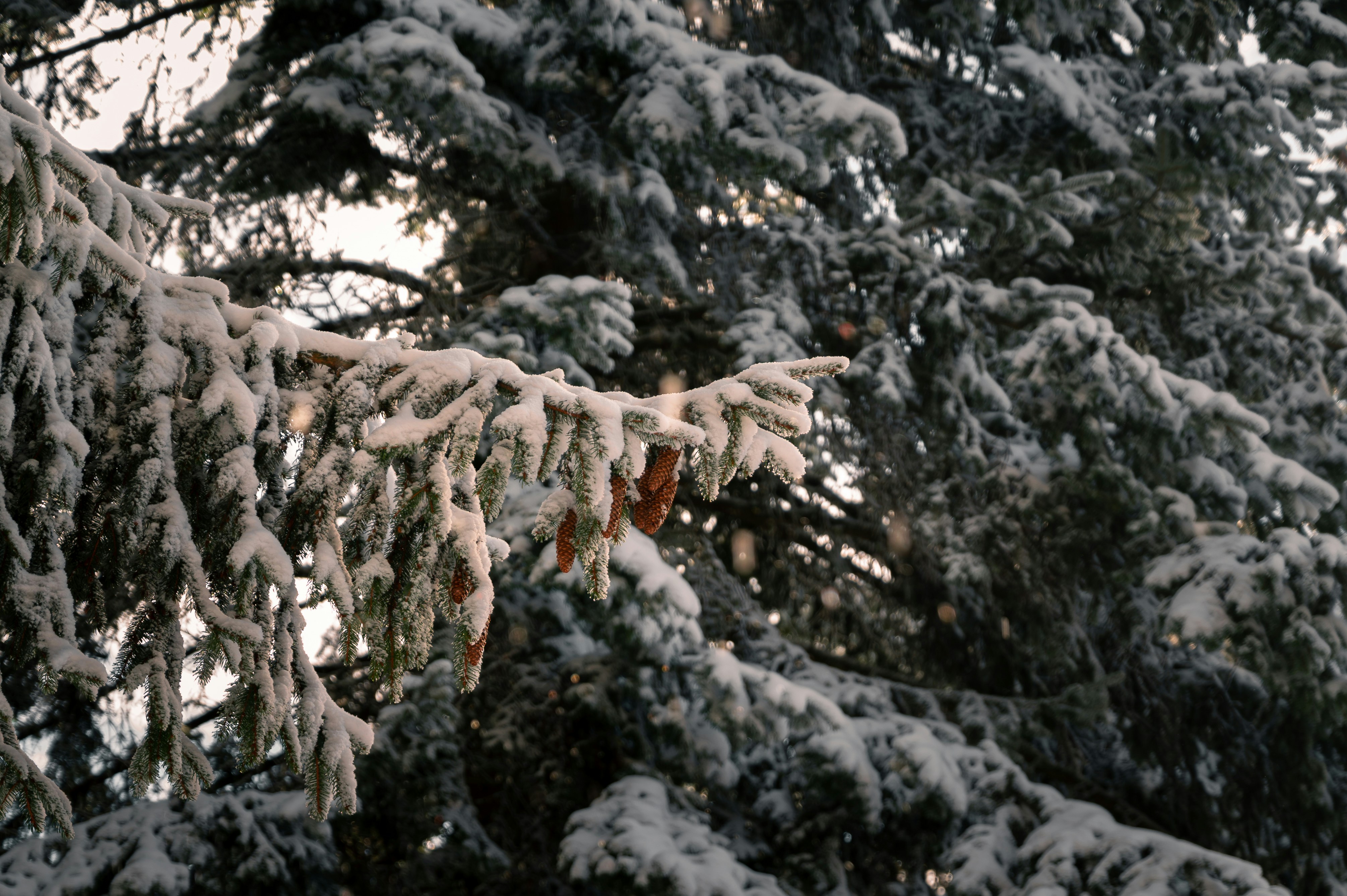 Photo by iso_excited