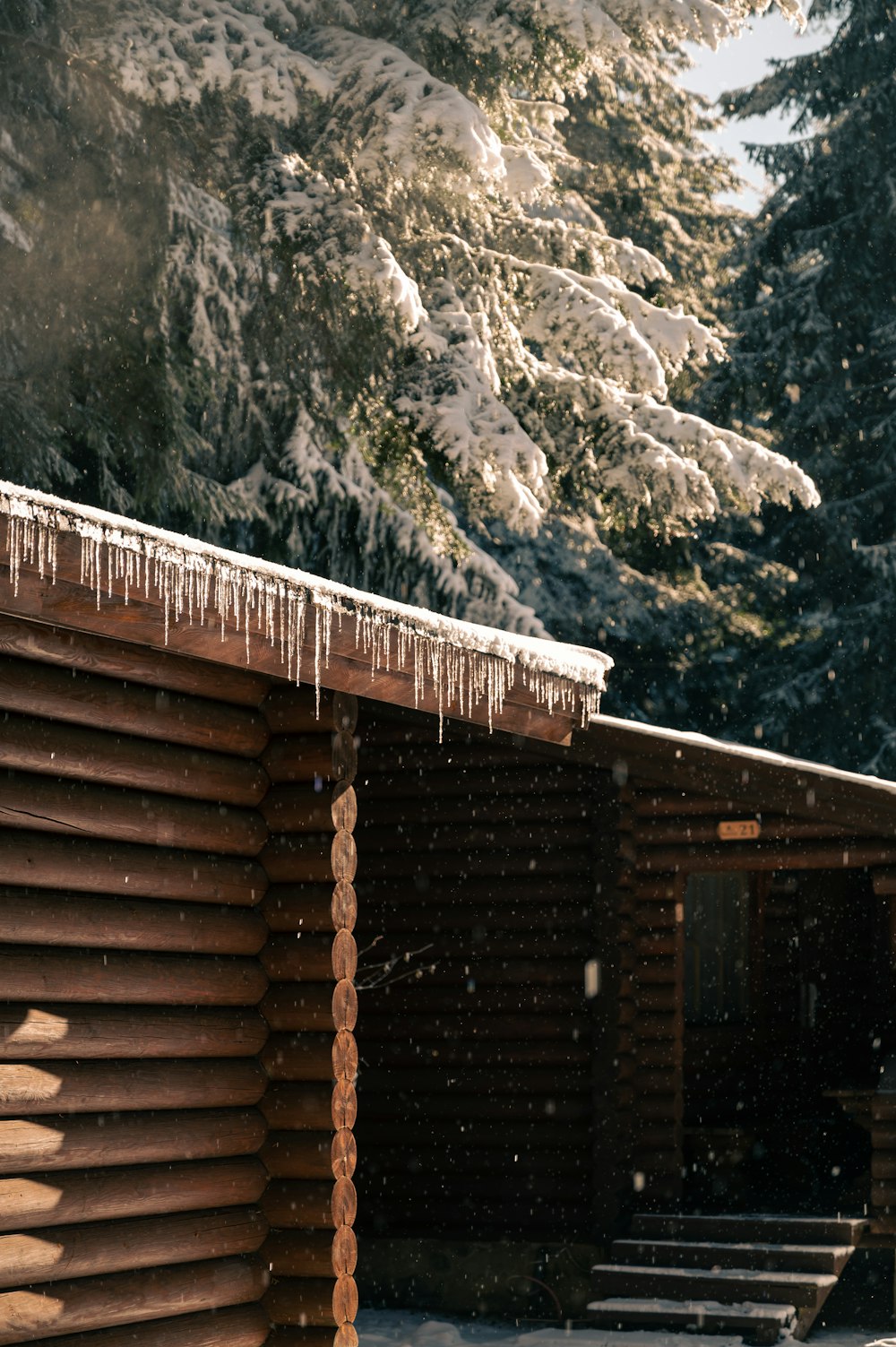 a wooden cabin with a snow covered mountain in the background