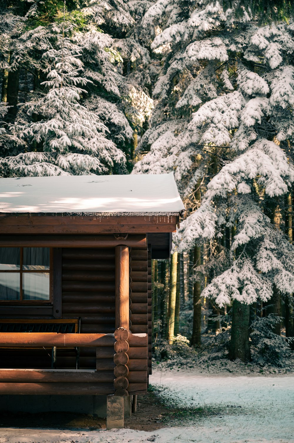 a cabin in the woods with snow on the trees