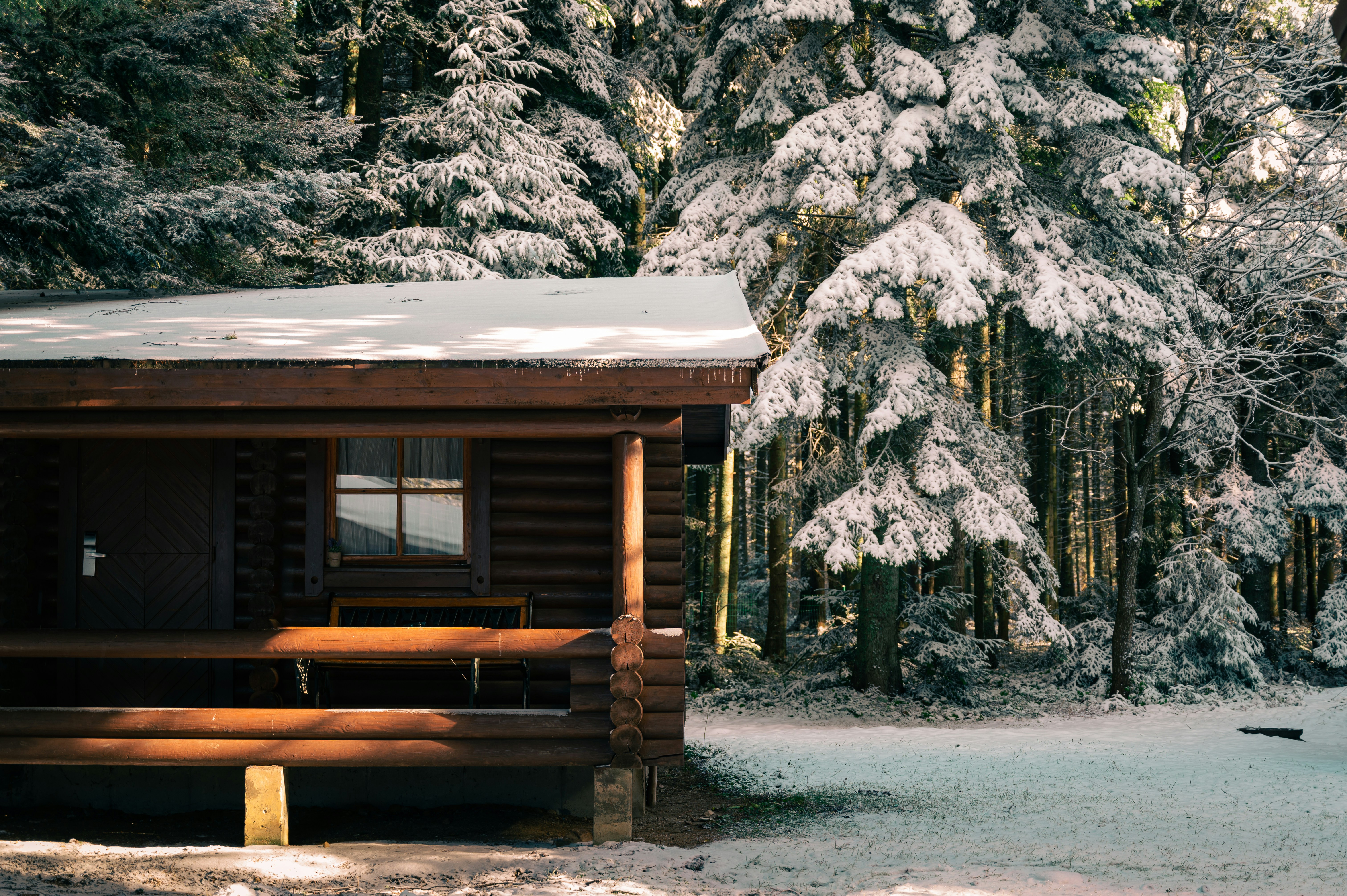 Photo by iso_excited