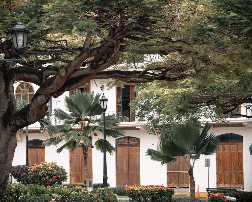 a white building with brown shutters and trees