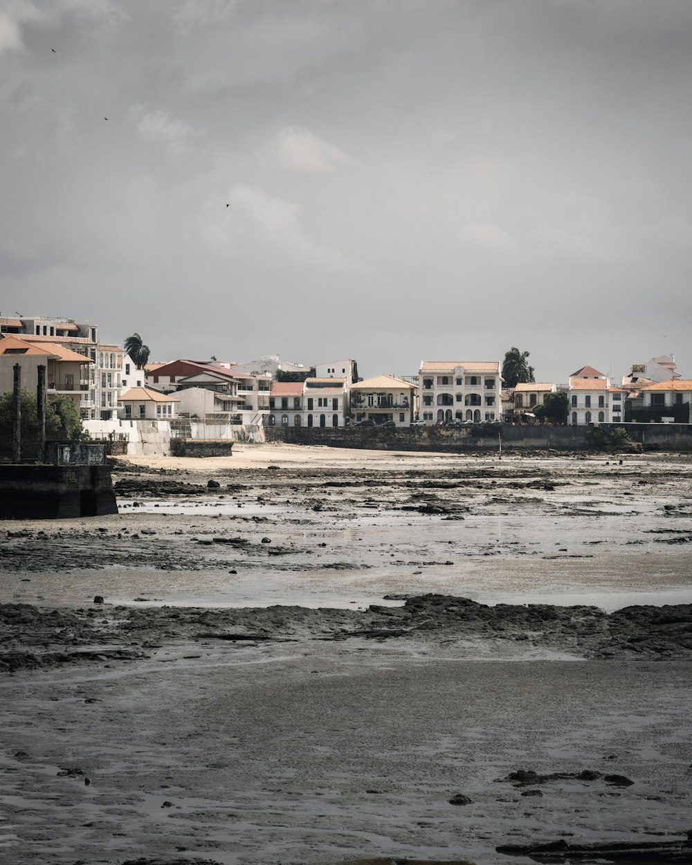 a large body of water with houses in the background