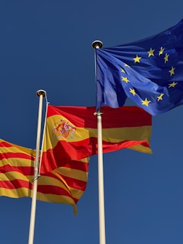 a group of flags flying in the air next to each other