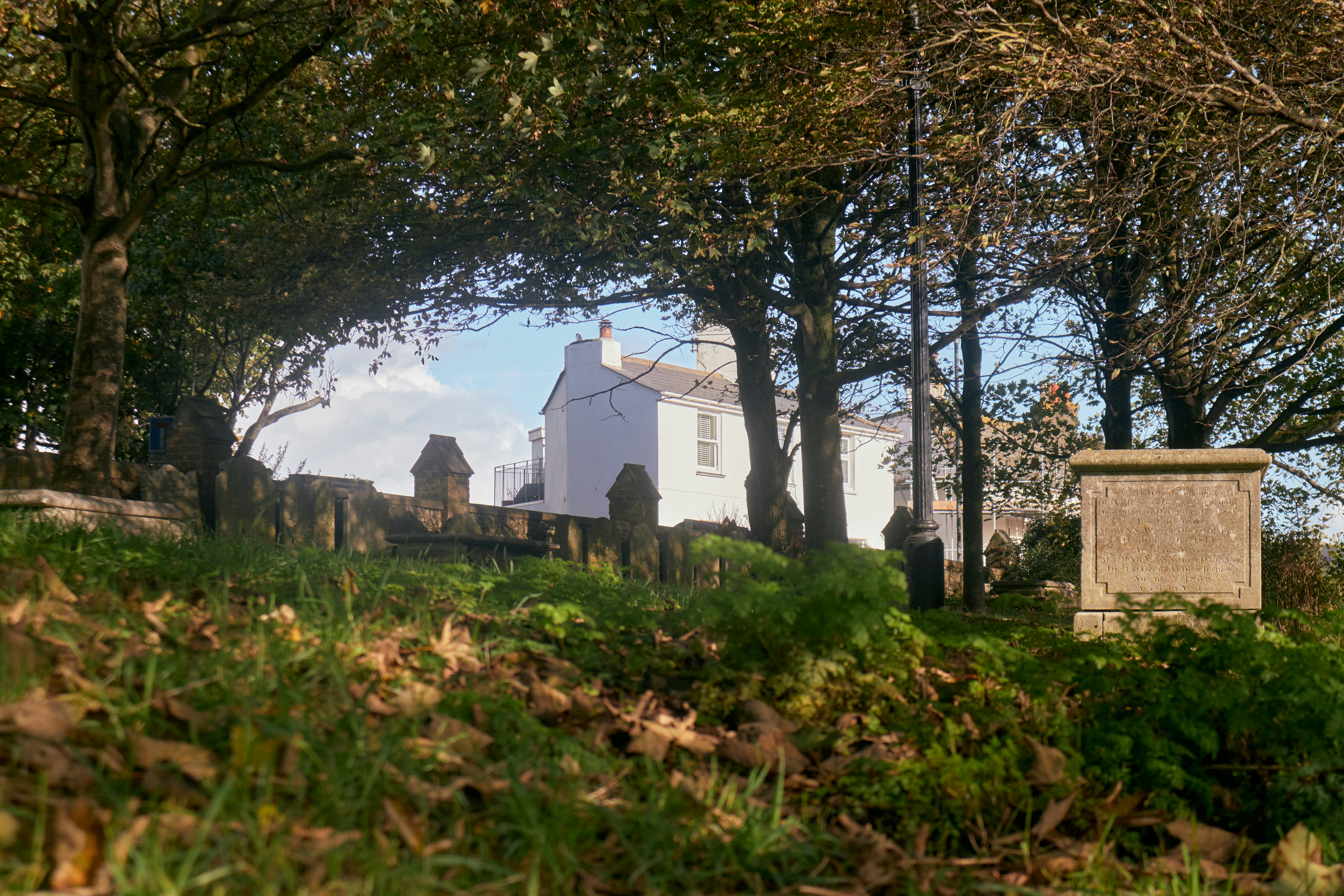 Photo by romanakash27