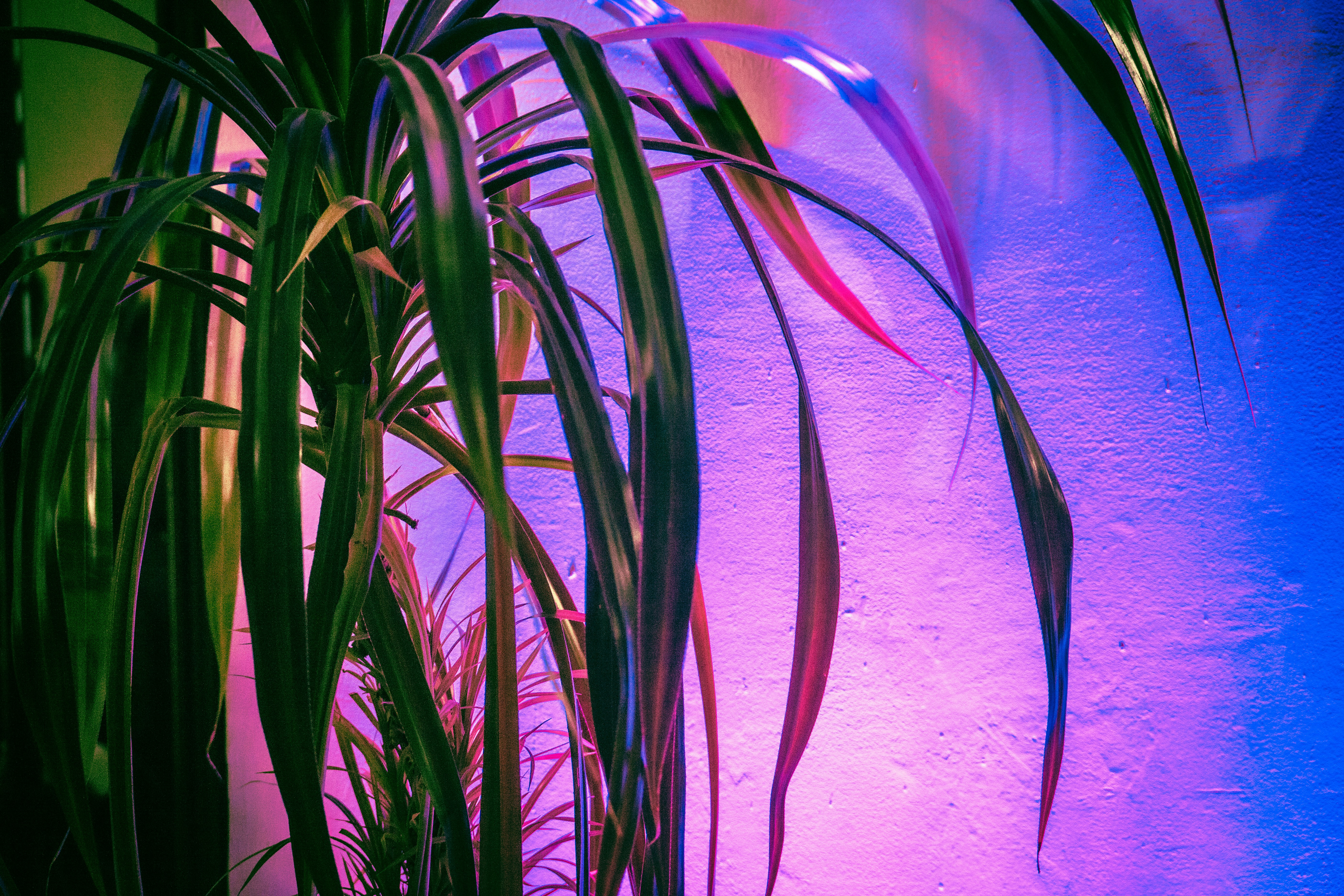 Photo by aloha_photopark