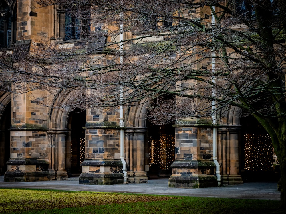 a large building with a tree in front of it