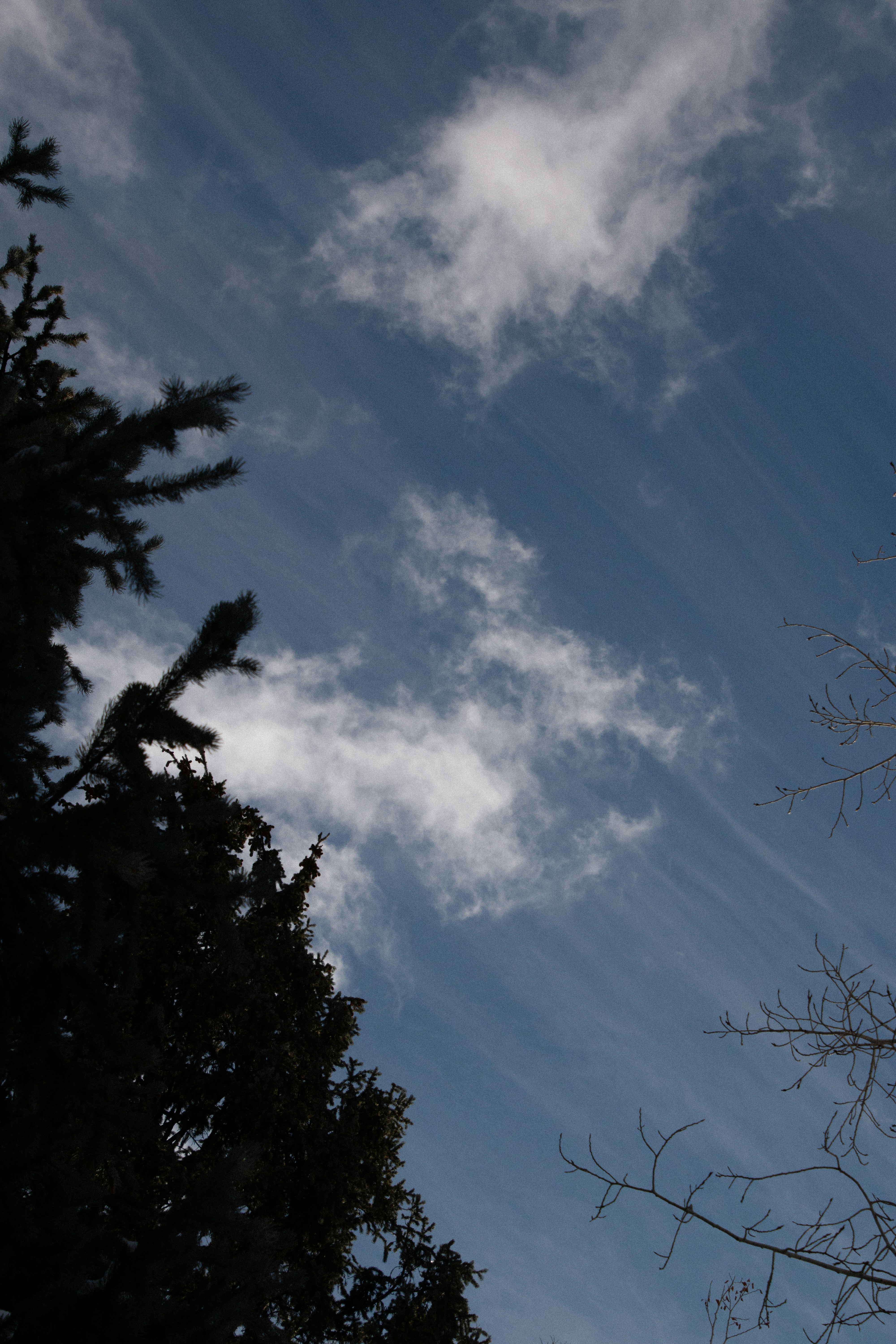 Photo by attaliehart