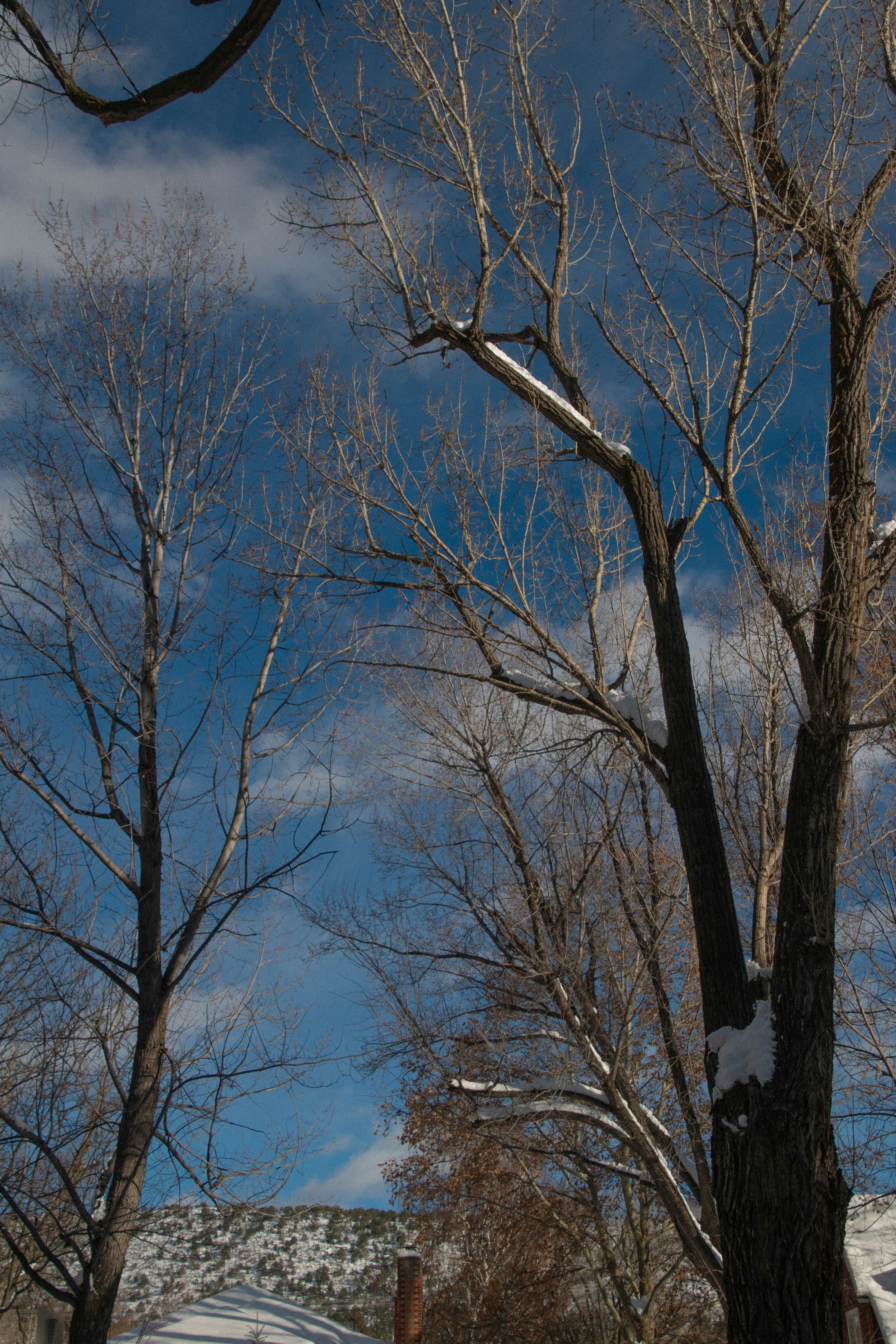 Photo by attaliehart