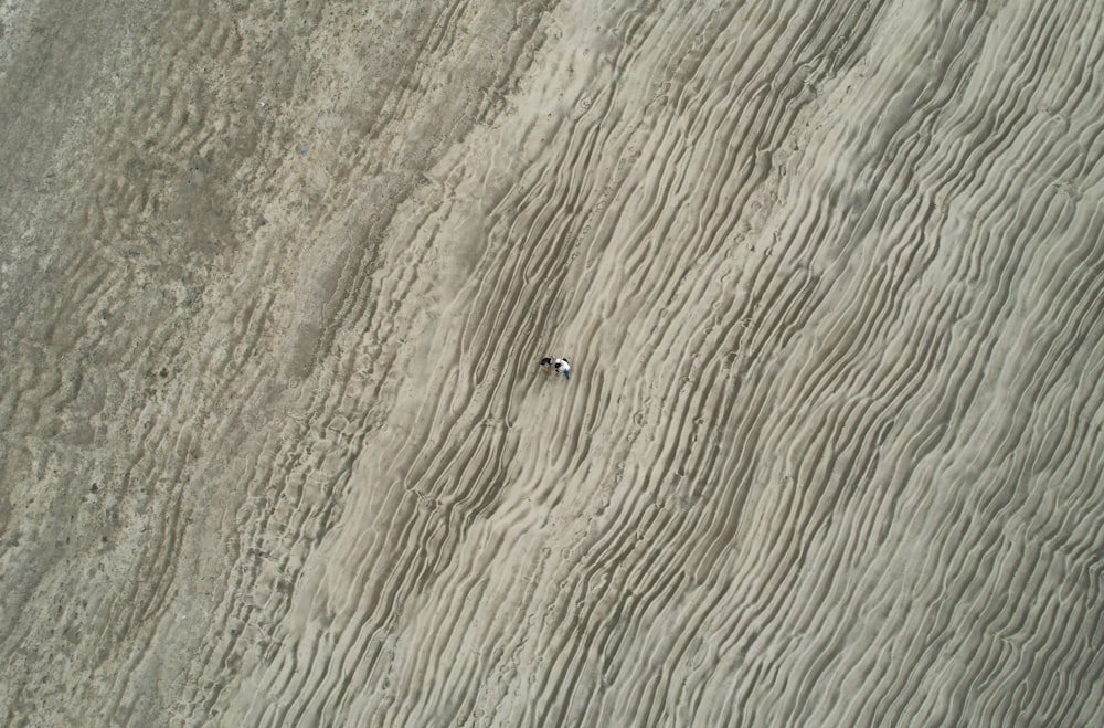 ein kleines weißes Objekt, das auf einem Sandstrand sitzt