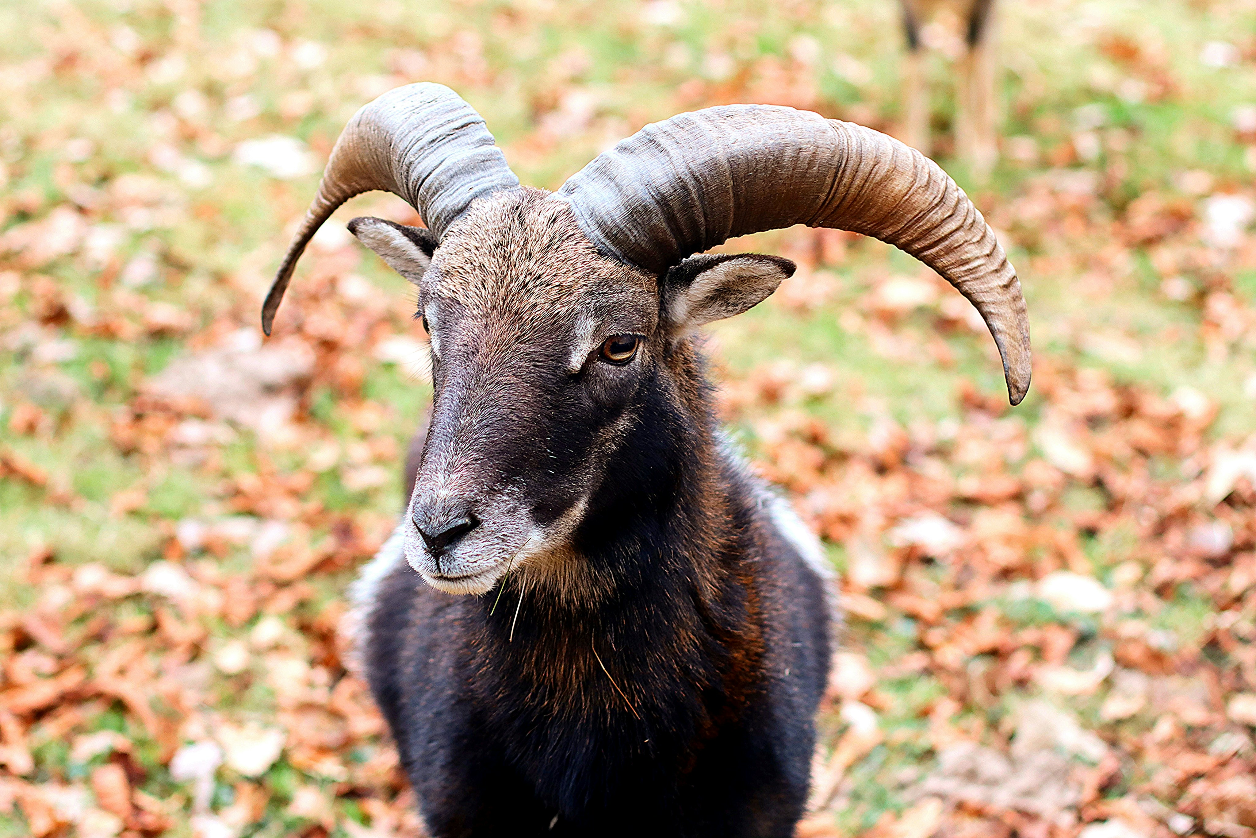 Photo by julien_steffen