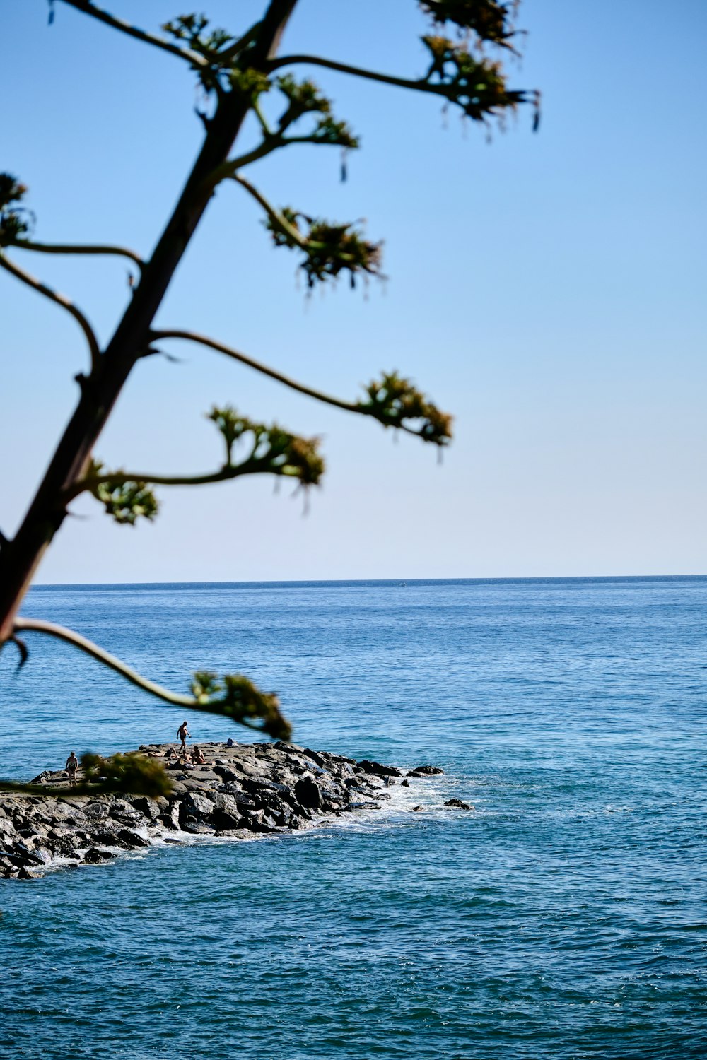 a lone person is standing on a rock outcropping in the ocean