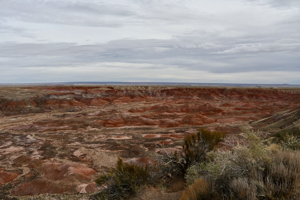 a view of a barren area with sparse vegetation