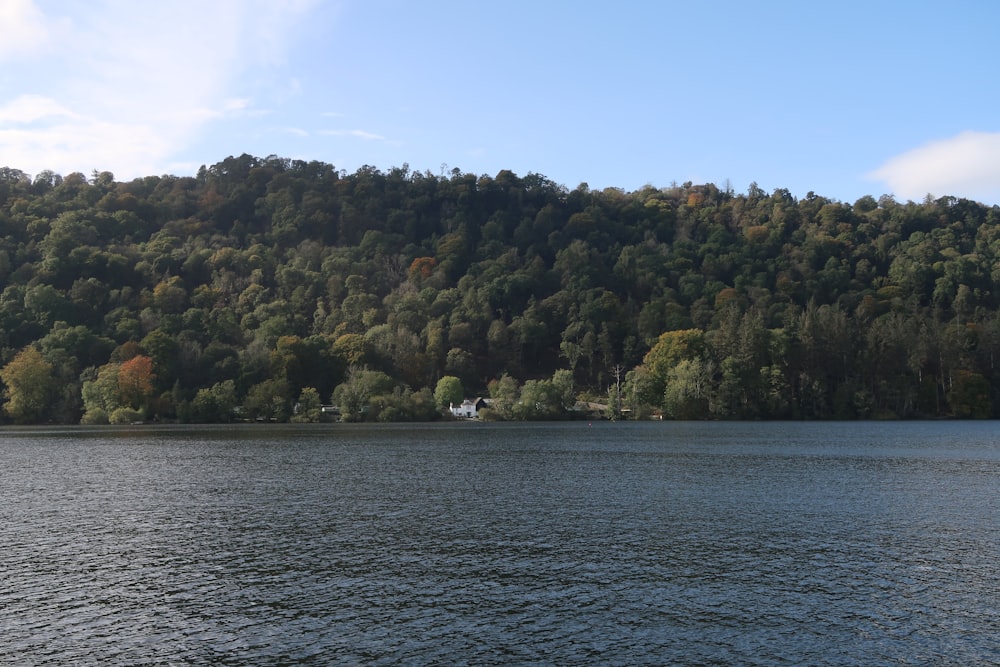 a large body of water surrounded by trees