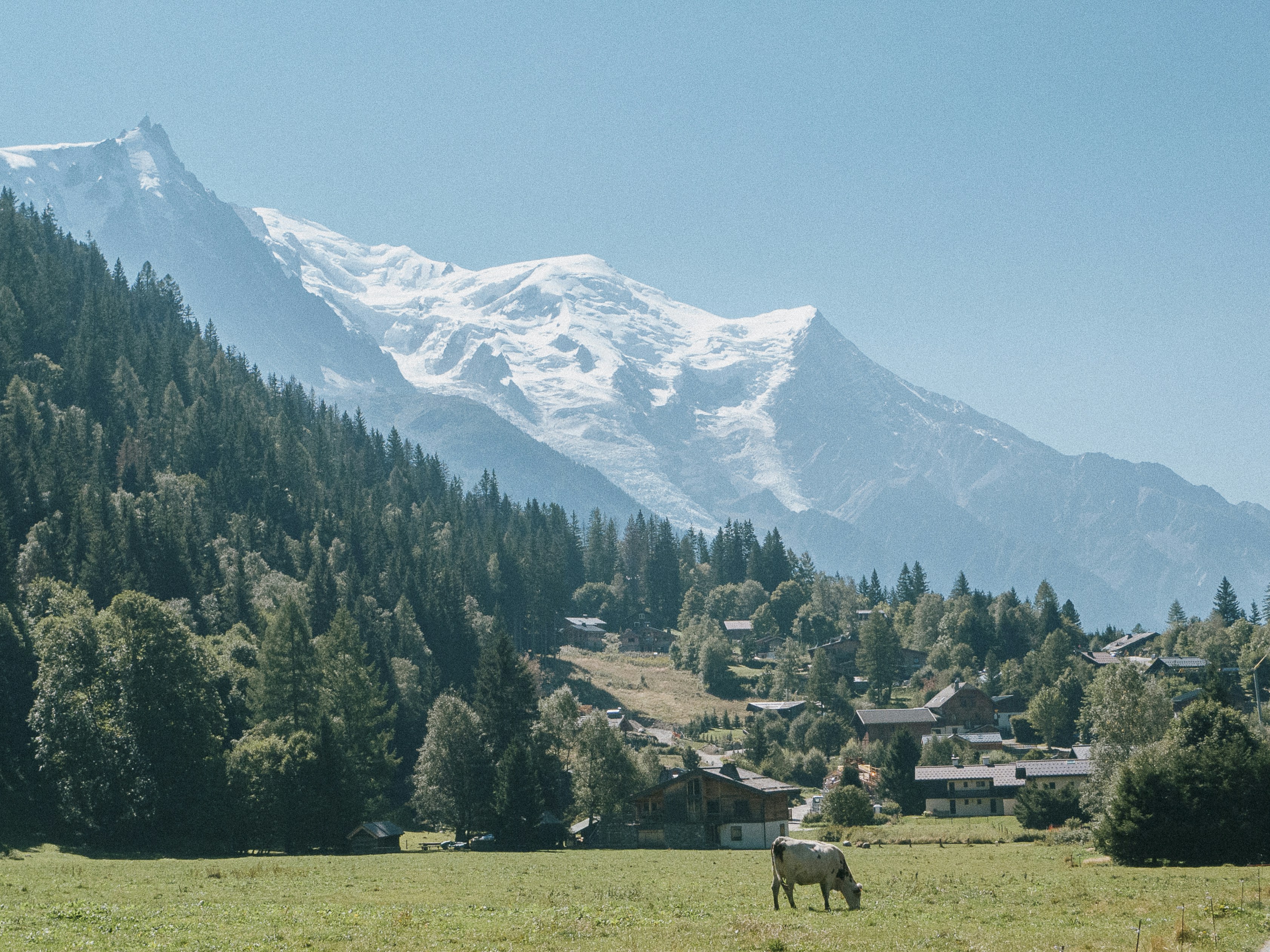 Photo by giacomofolli