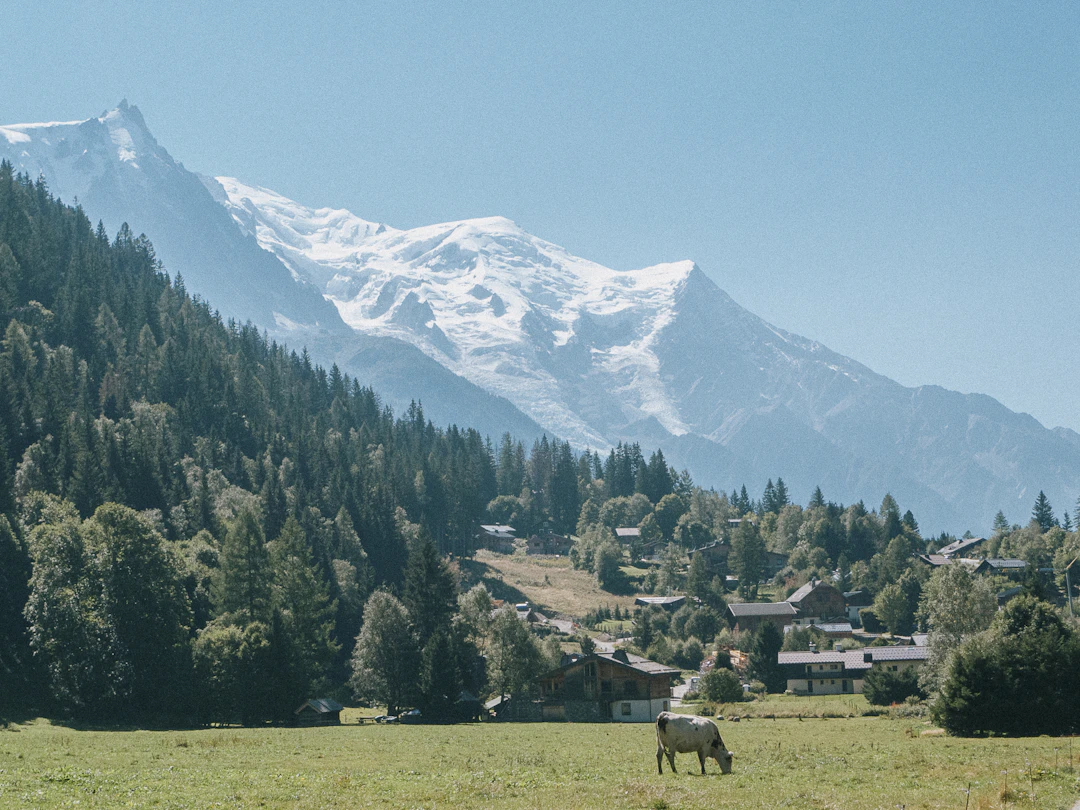 Guía de viaje Chamonix 2026 — qué ver, comer y consejos Guía de viaje Chamonix 2026 — qué ver, comer y consejos
