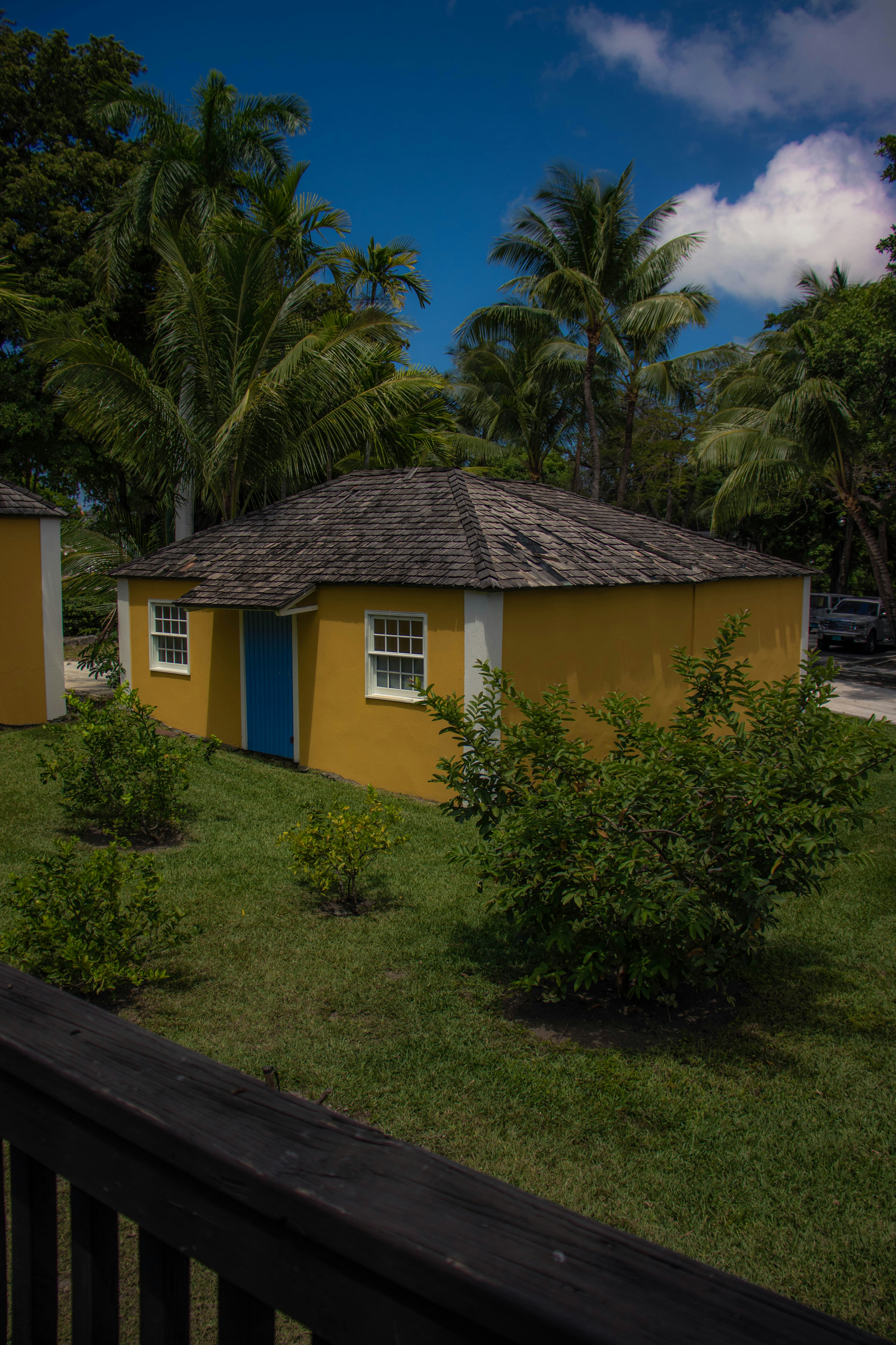Cozy wooden bungalow surrounded by tropical garden with hammock on private deck