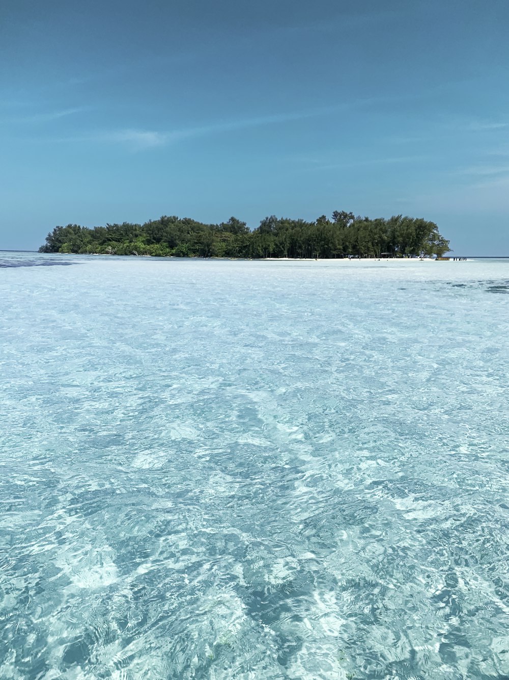 a small island in the middle of a body of water