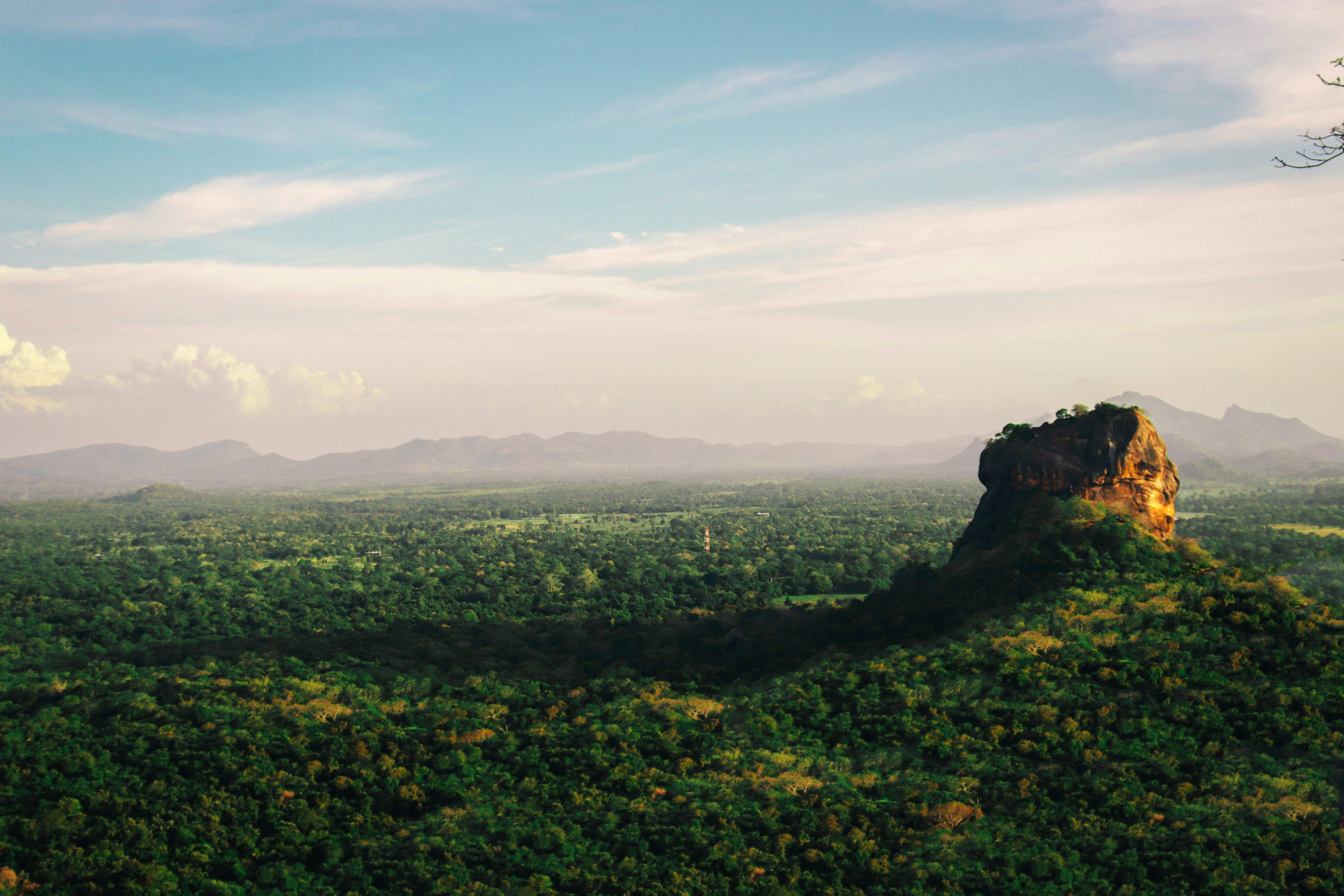 a view of a lush green forest with mountains in the background