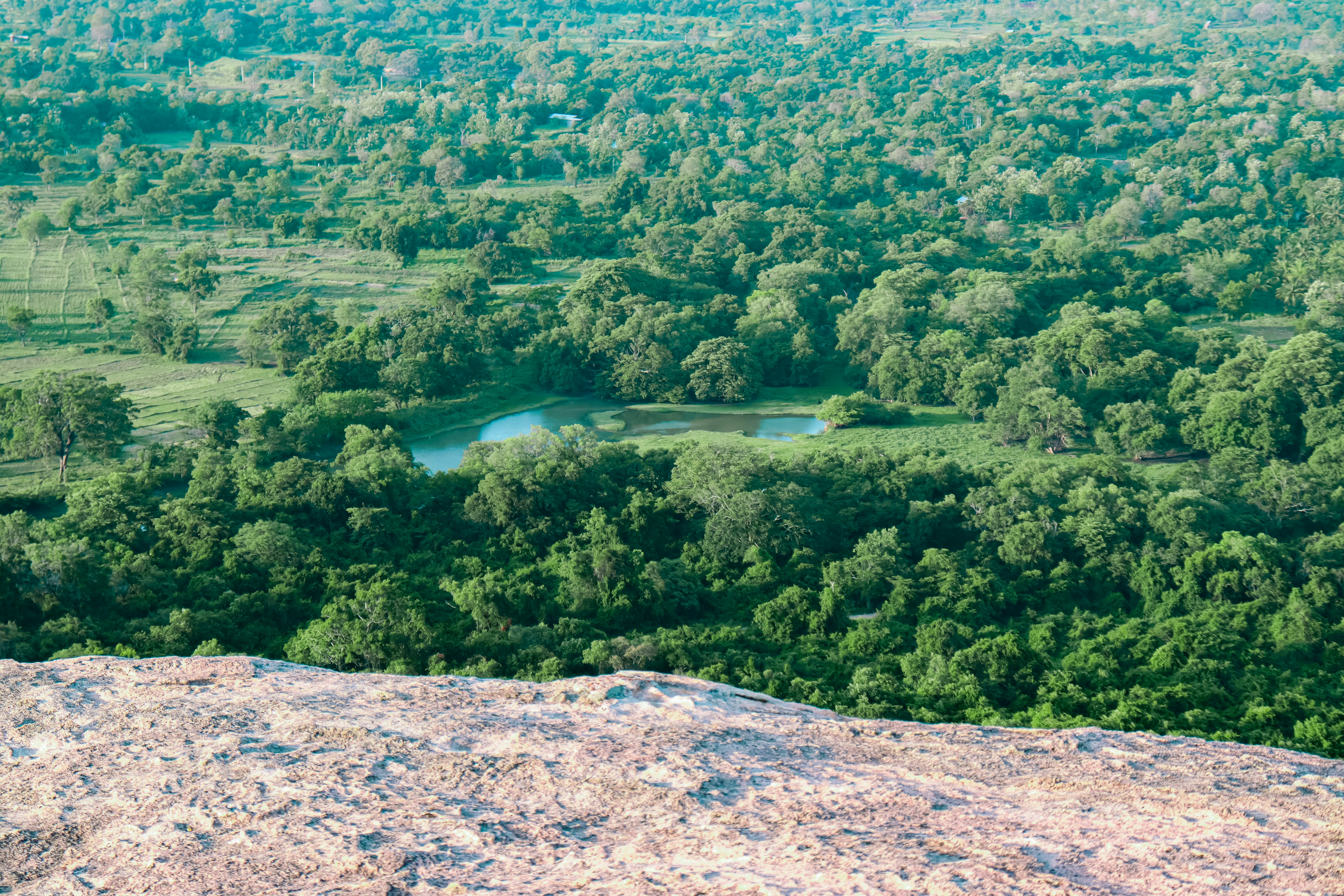 a man sitting on top of a large rock next to a lush green forest