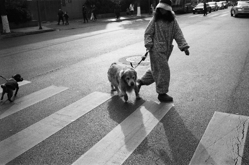 a person walking two dogs down a street