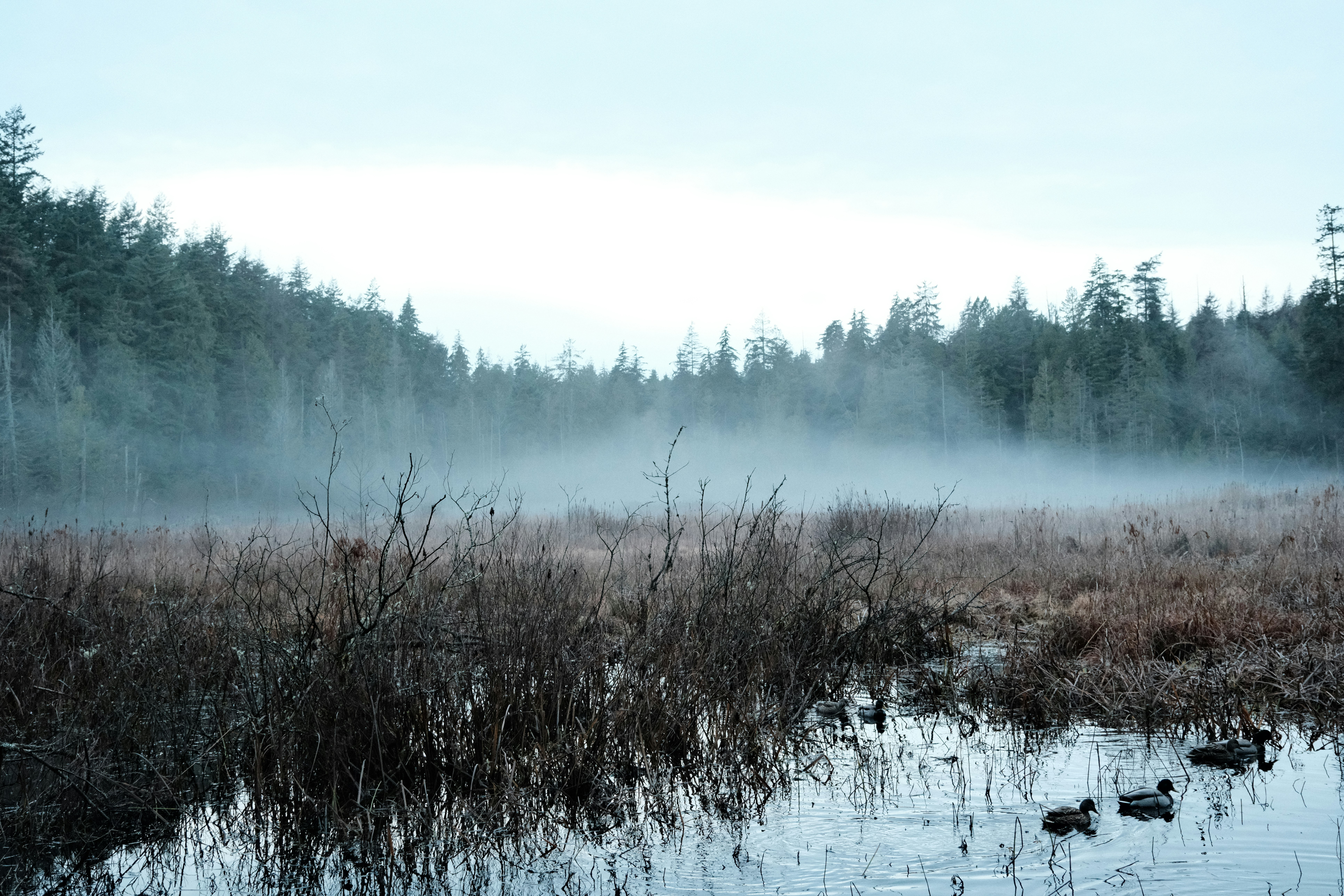 Photo by tonny_huang