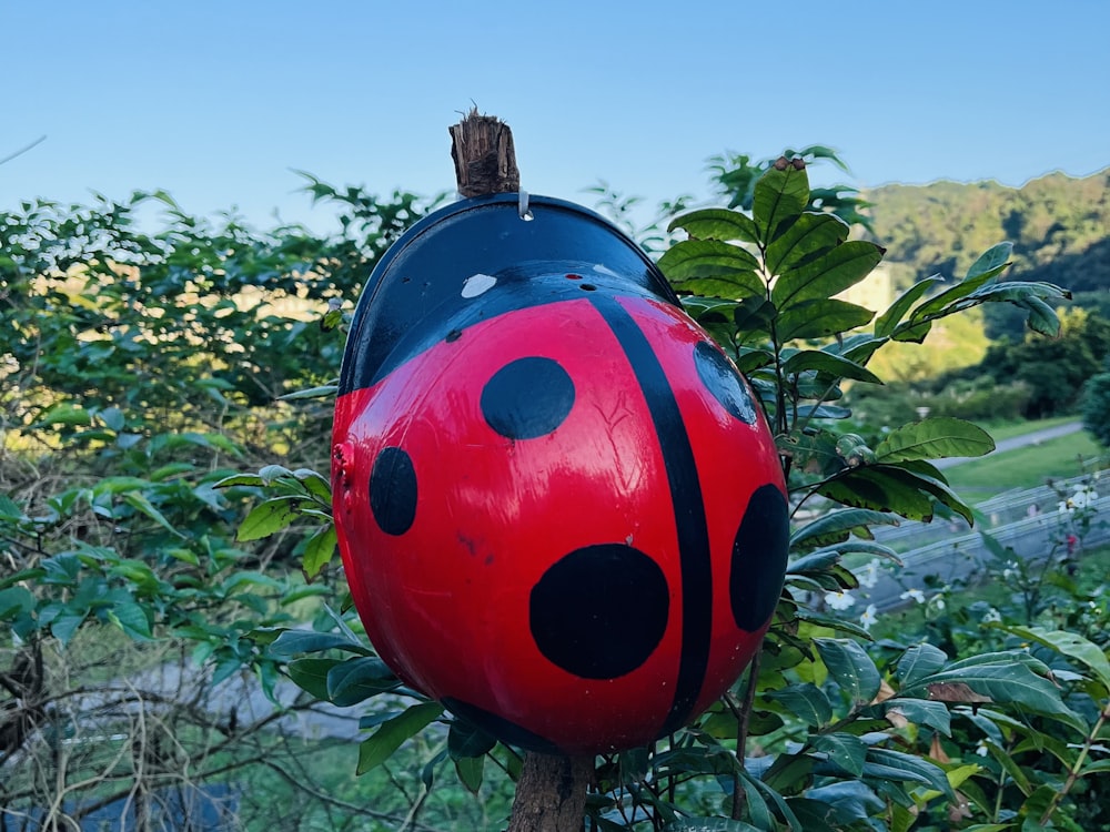 a red and black ladybug shaped mailbox in a bush