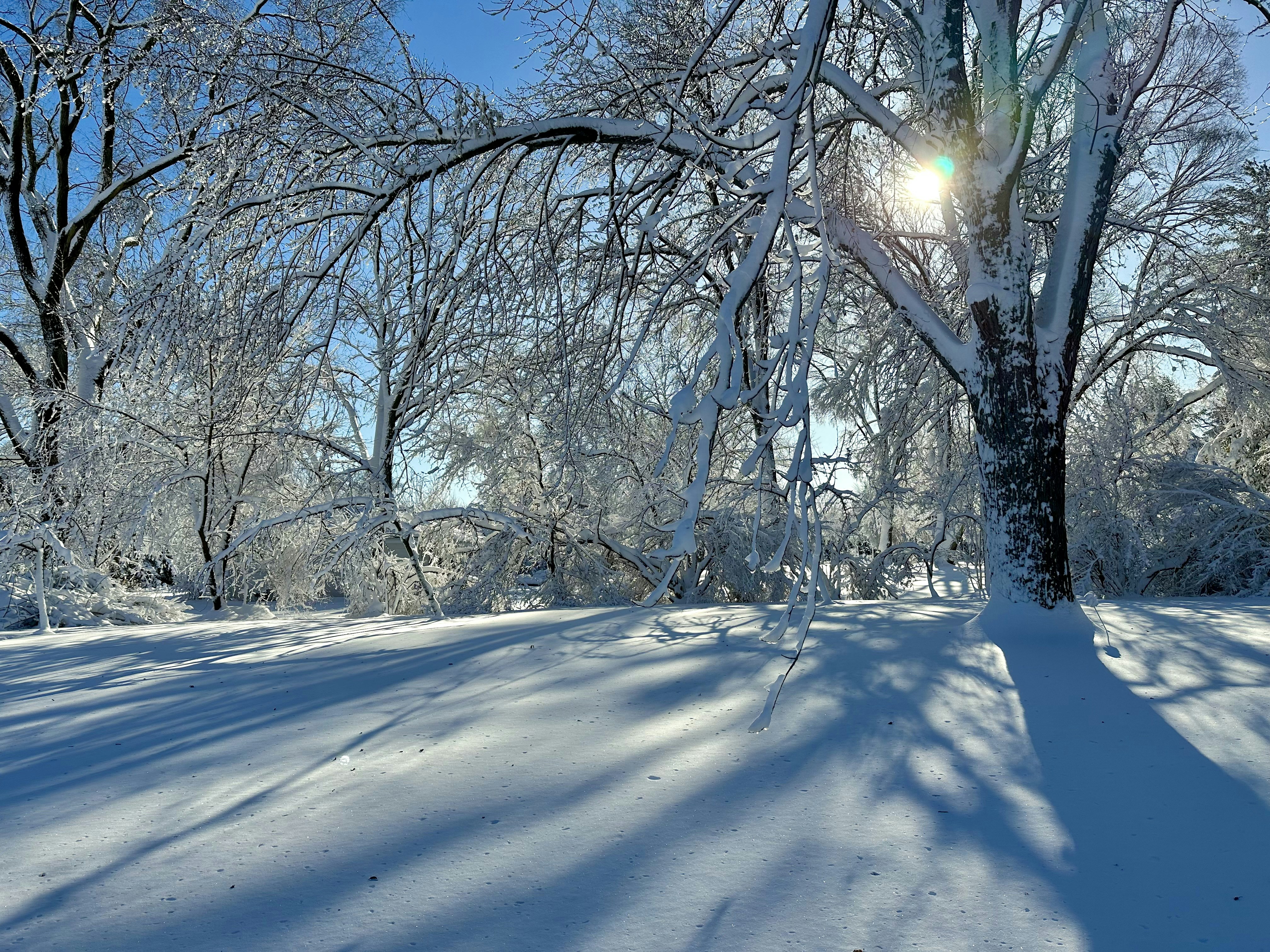 Photo by midkiffaries